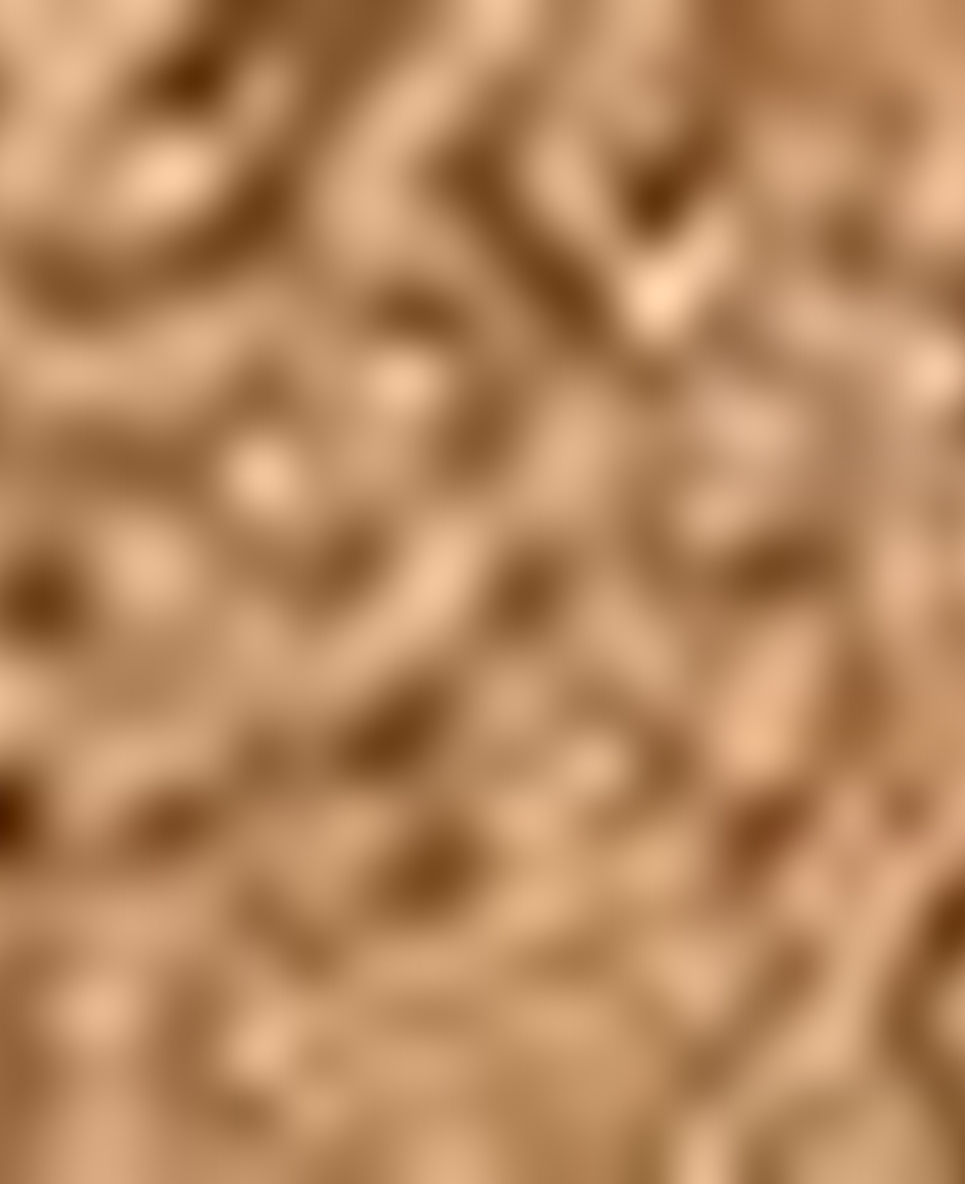 Nautica Kadın Bej Regular Fit Mont