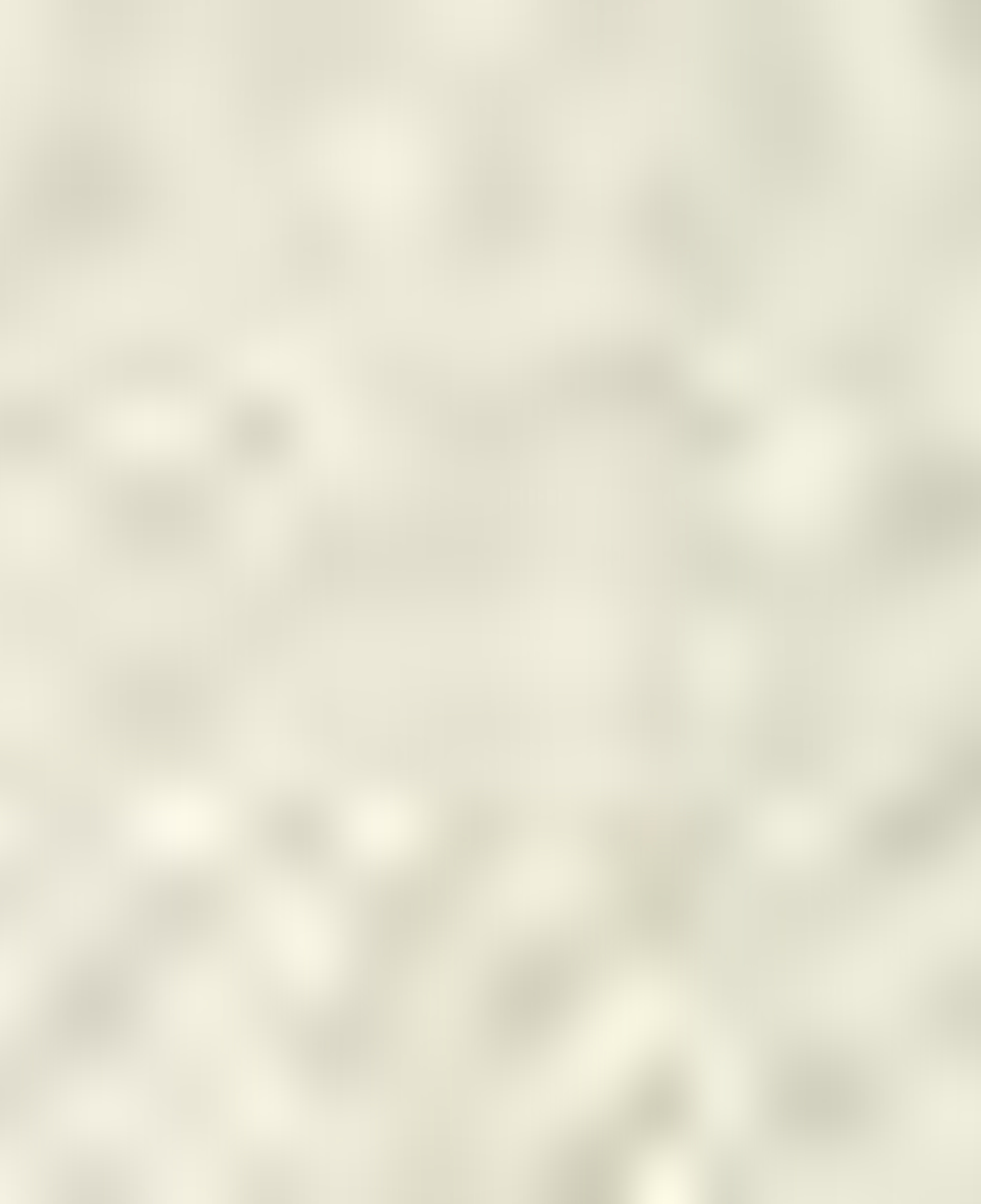 Nautica Kadın Krem Rengi Oversize Sweatshirt