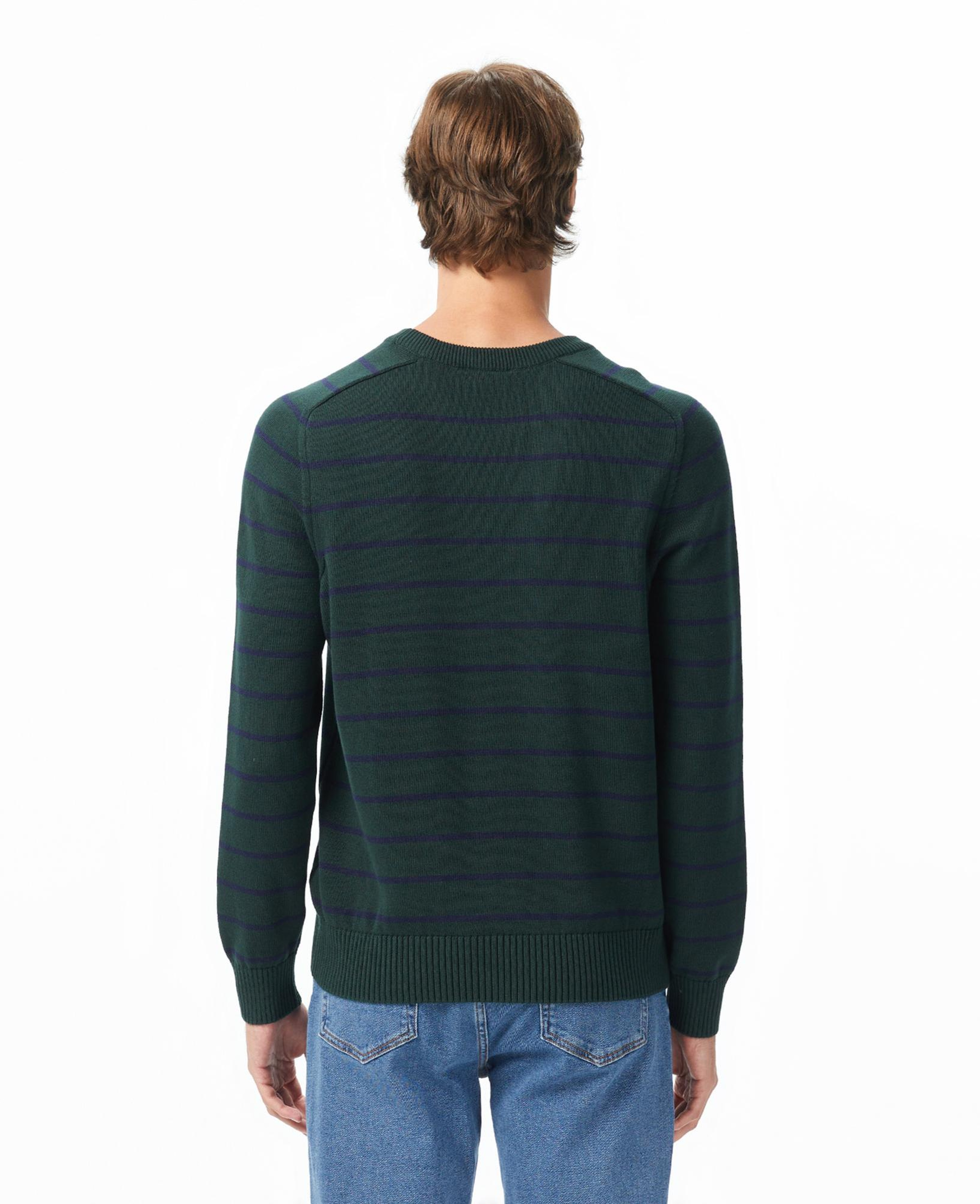 Lacoste Erkek Classic Fit Bisiklet Yaka Çizgili Yeşil Kazak