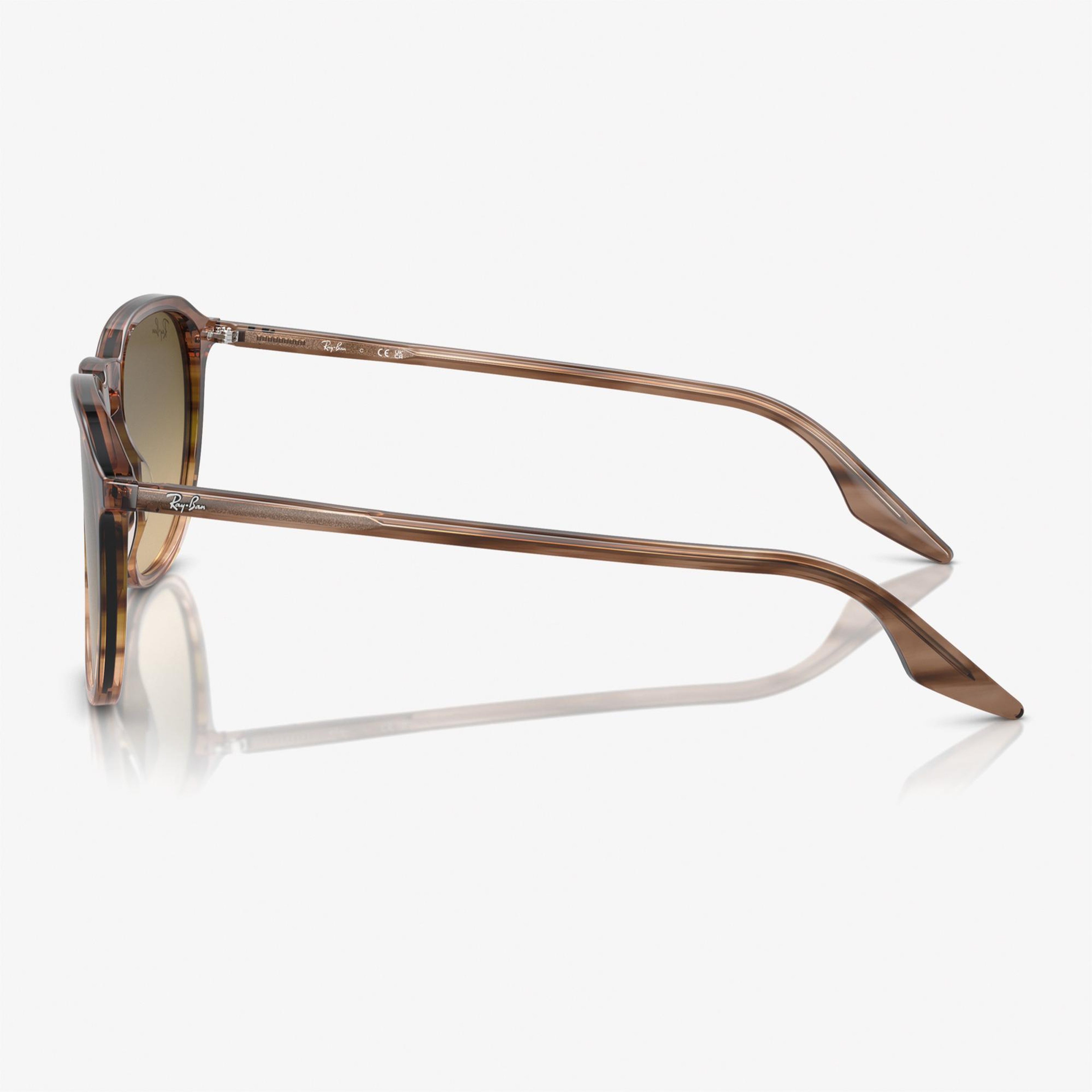 RAY-BAN 0RB2203 Acetate Unisex Kahverengi Güneş Gözlüğü