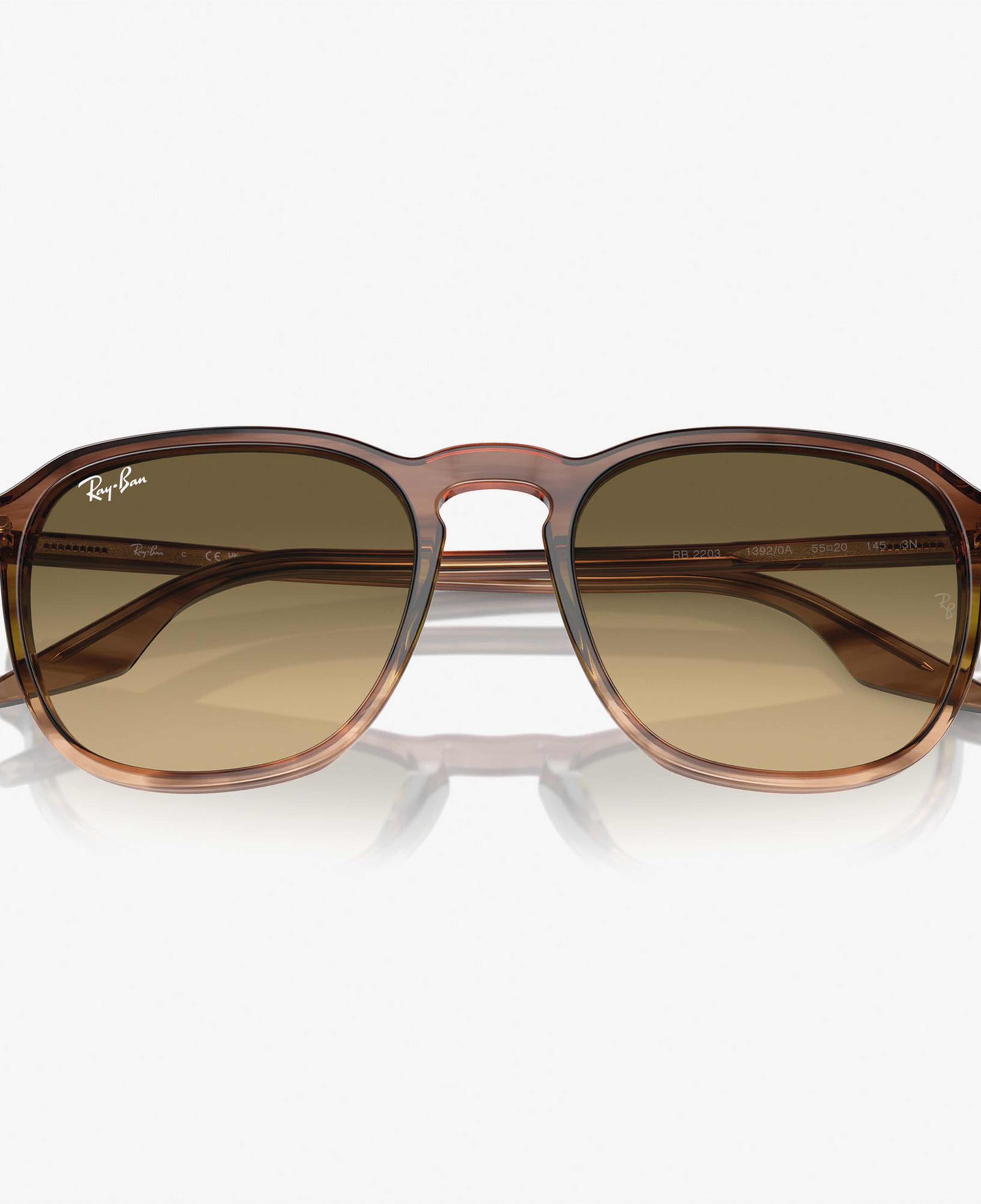 RAY-BAN 0RB2203 Acetate Unisex Kahverengi Güneş Gözlüğü
