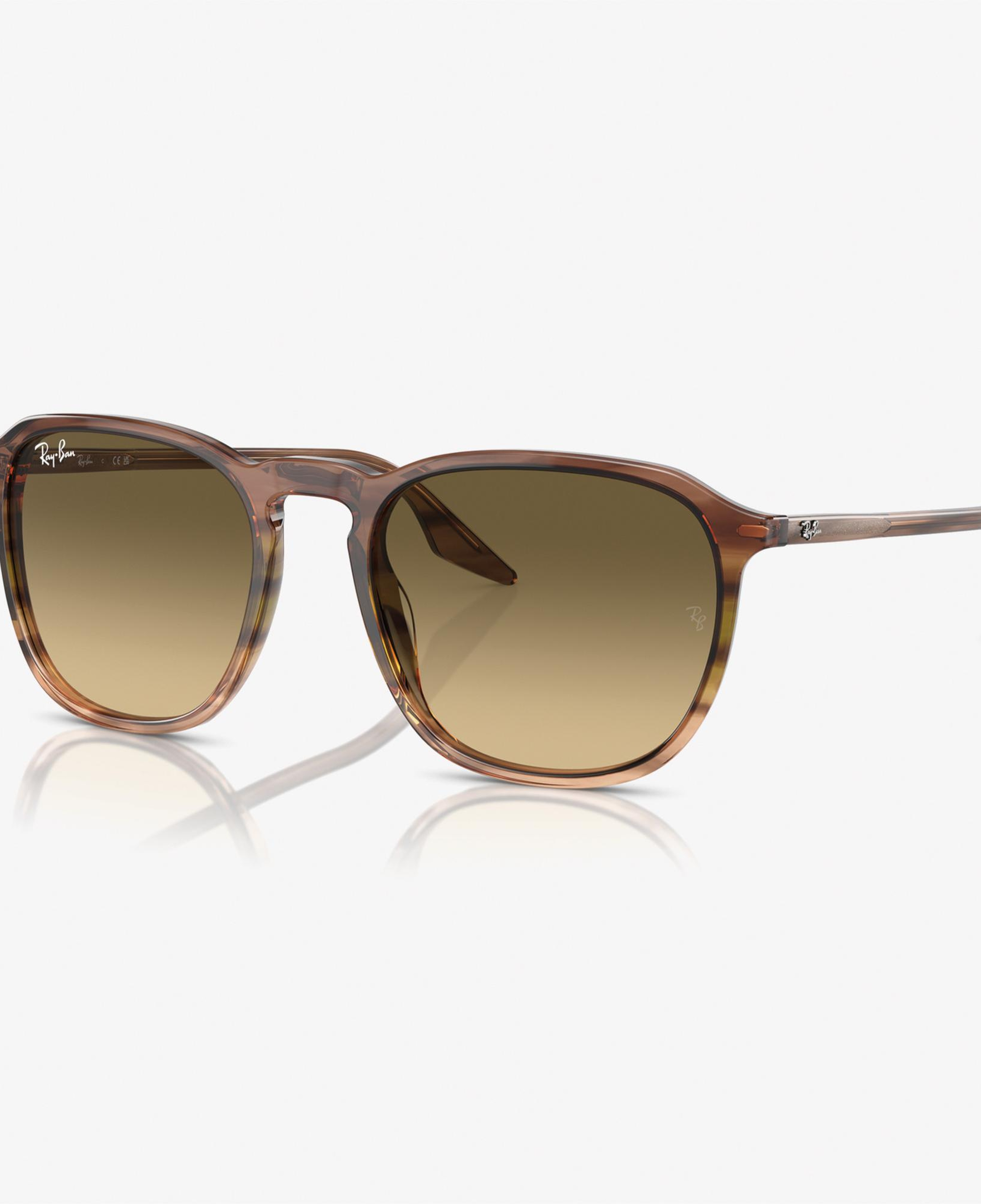 RAY-BAN 0RB2203 Acetate Unisex Kahverengi Güneş Gözlüğü