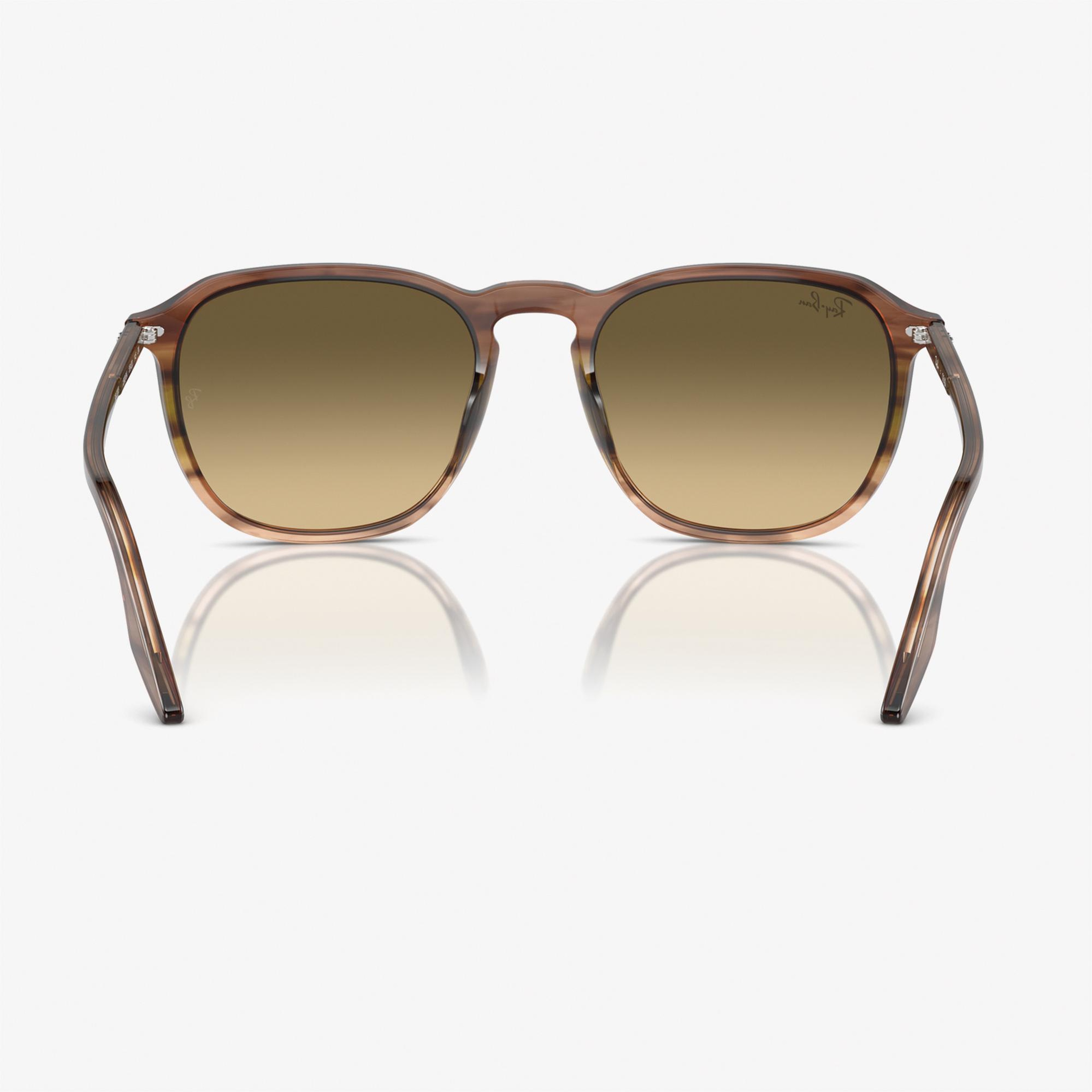 RAY-BAN 0RB2203 Acetate Unisex Kahverengi Güneş Gözlüğü