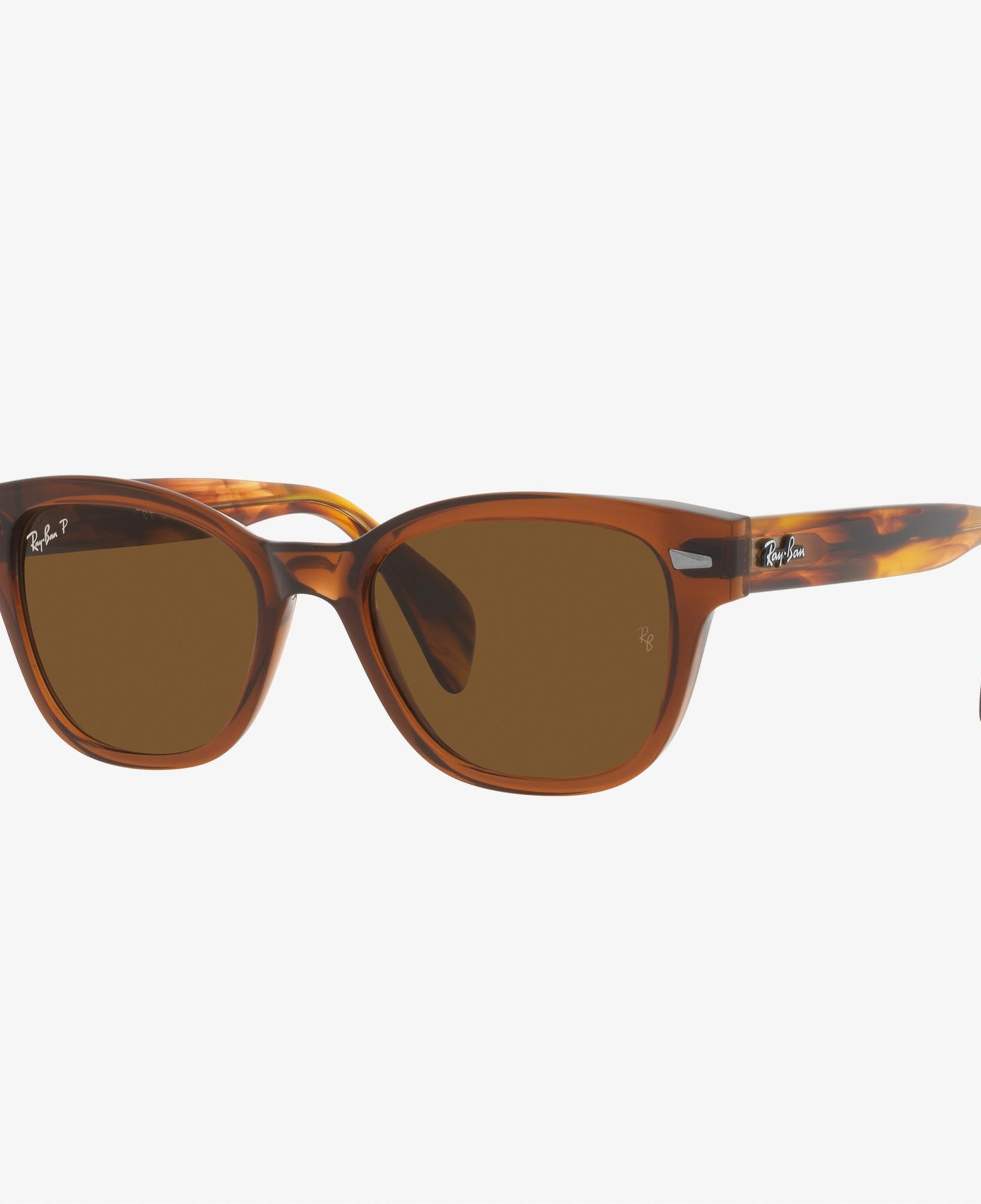 RAY-BAN 0RB0880S Unisex Kahverengi Güneş Gözlüğü