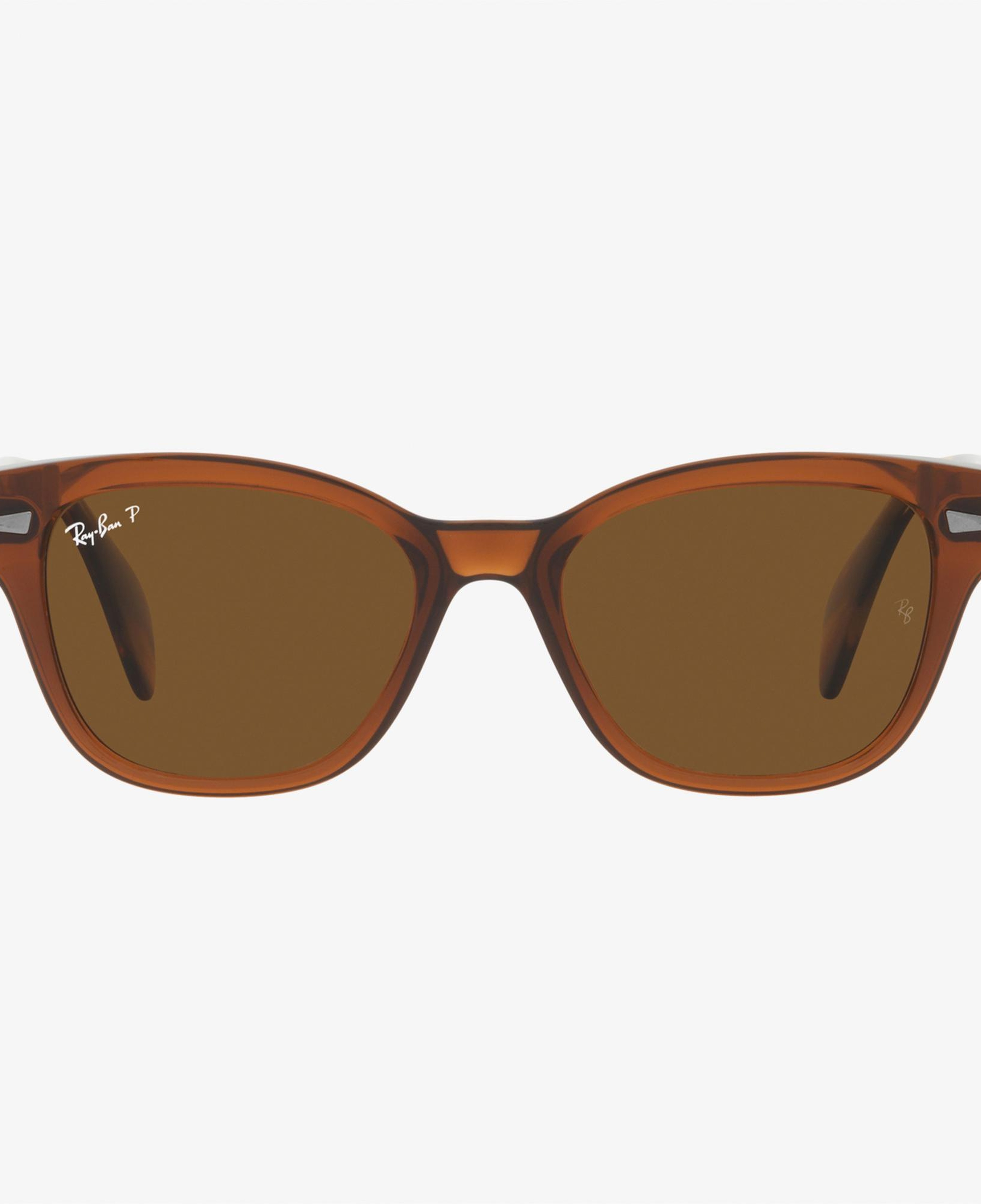 RAY-BAN 0RB0880S Unisex Kahverengi Güneş Gözlüğü