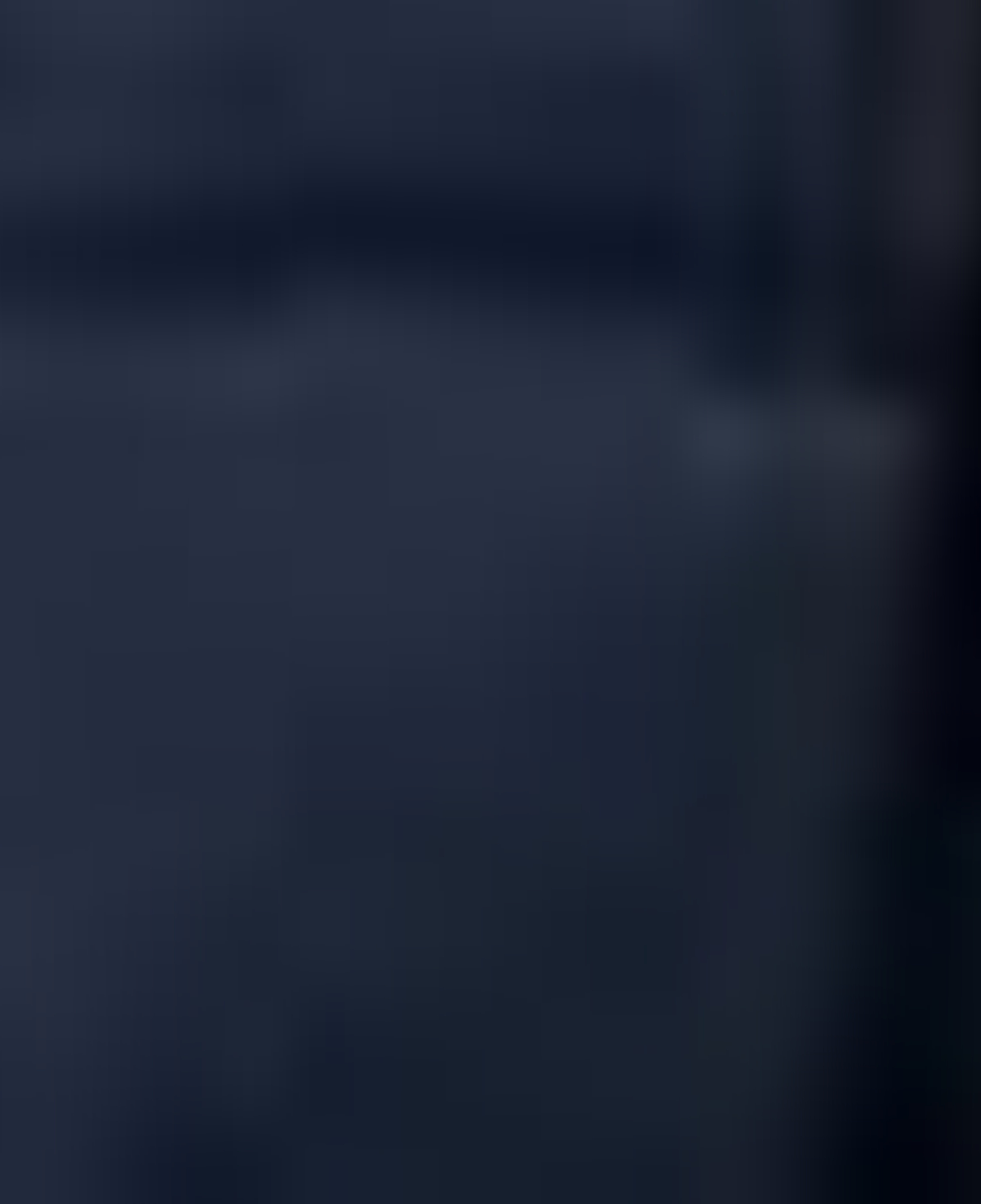 Nautica Erkek Lacivert Regular Fit Mont