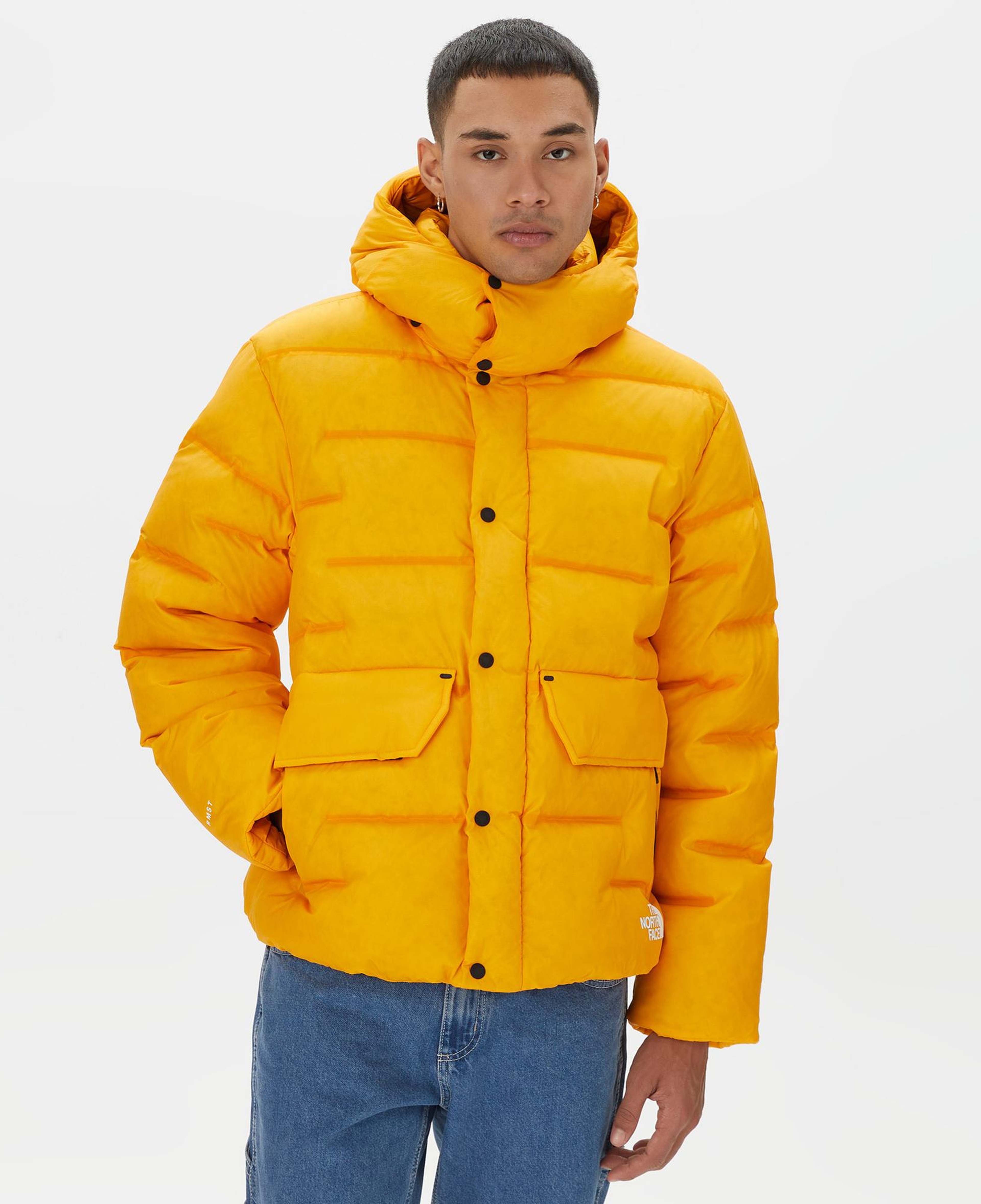 The North Face Rmst Sierra Erkek Sarı Mont