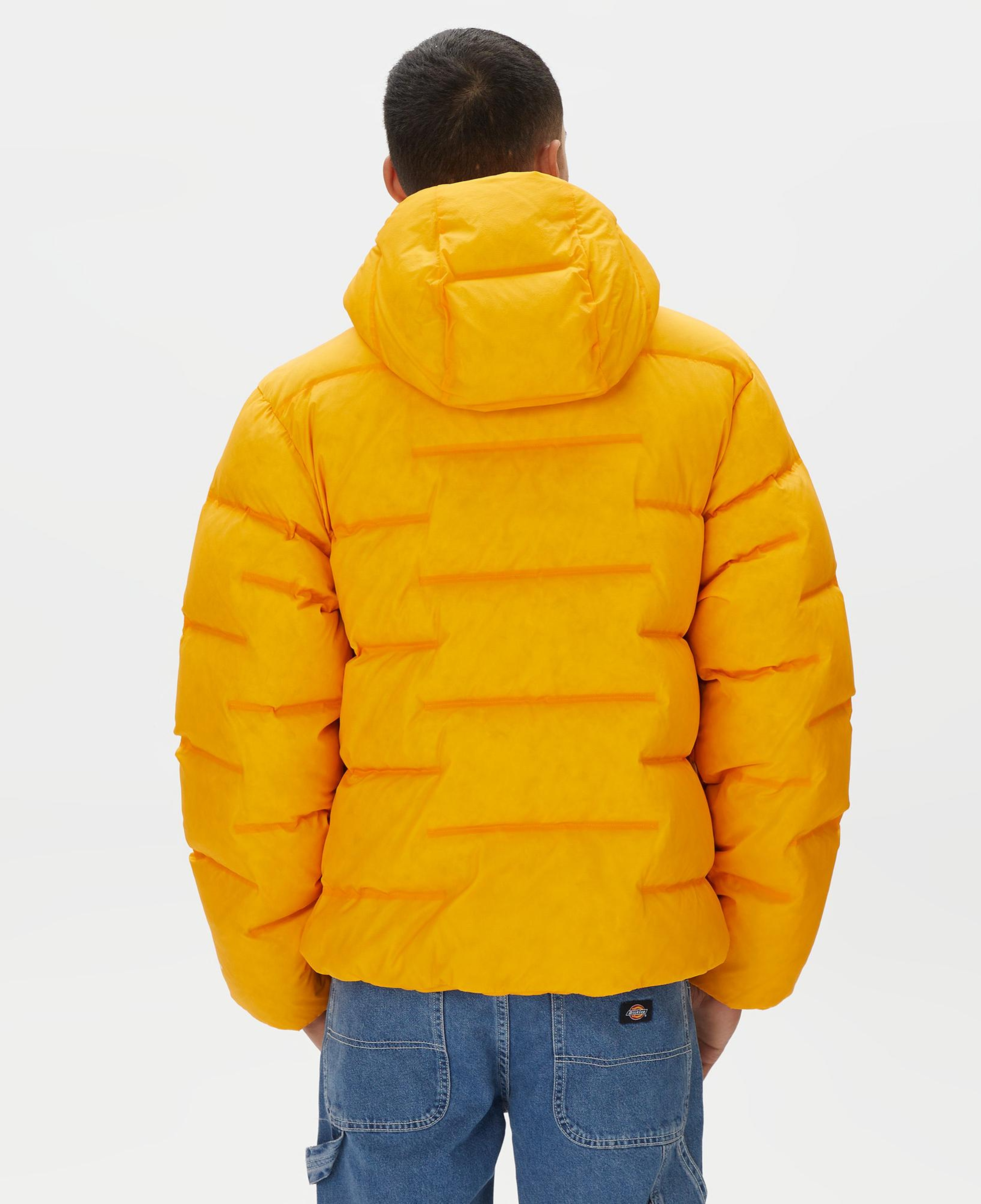 The North Face Rmst Sierra Erkek Sarı Mont