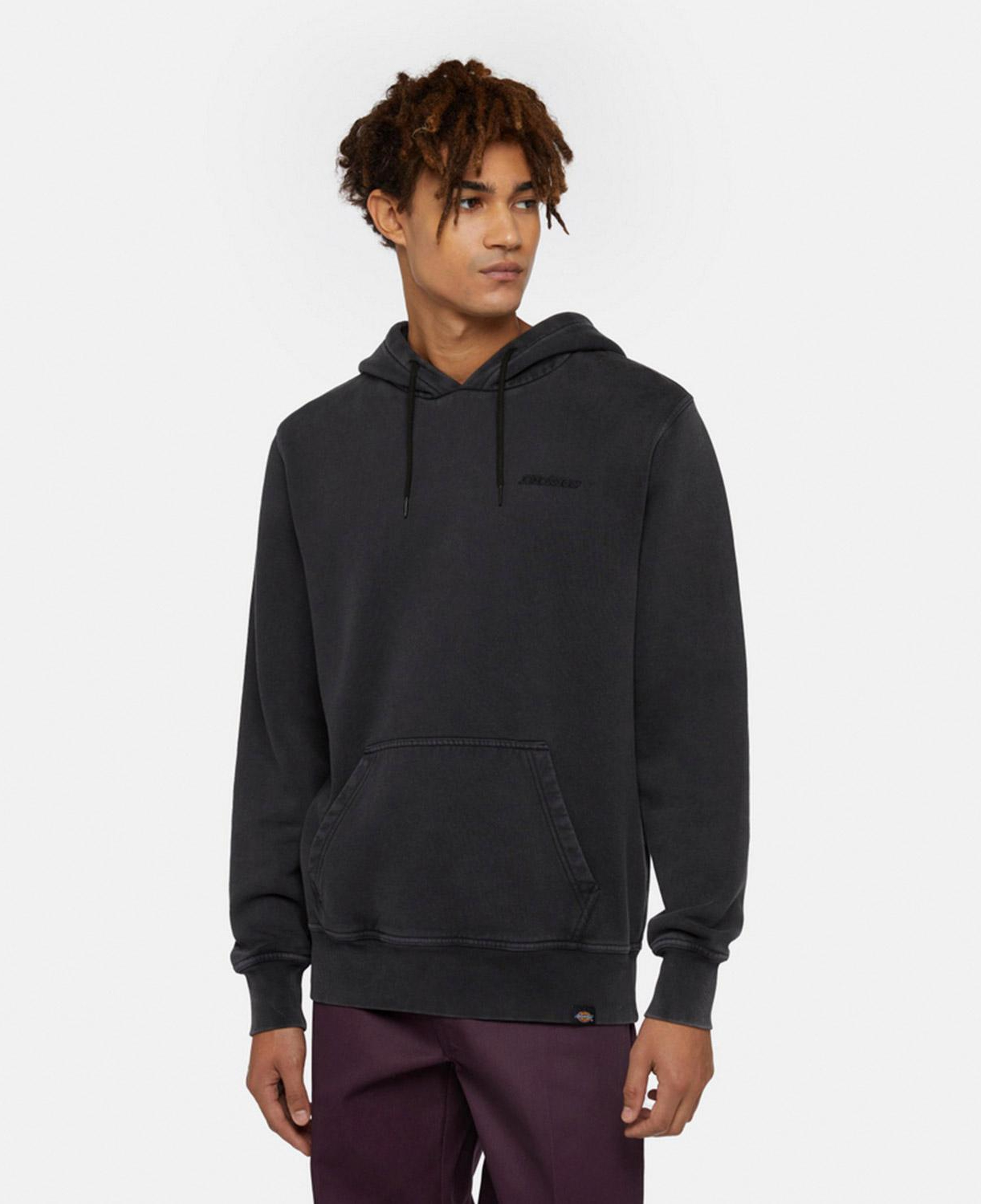 Dickies Plentywood Hoodie Erkek Siyah Sweatshirt