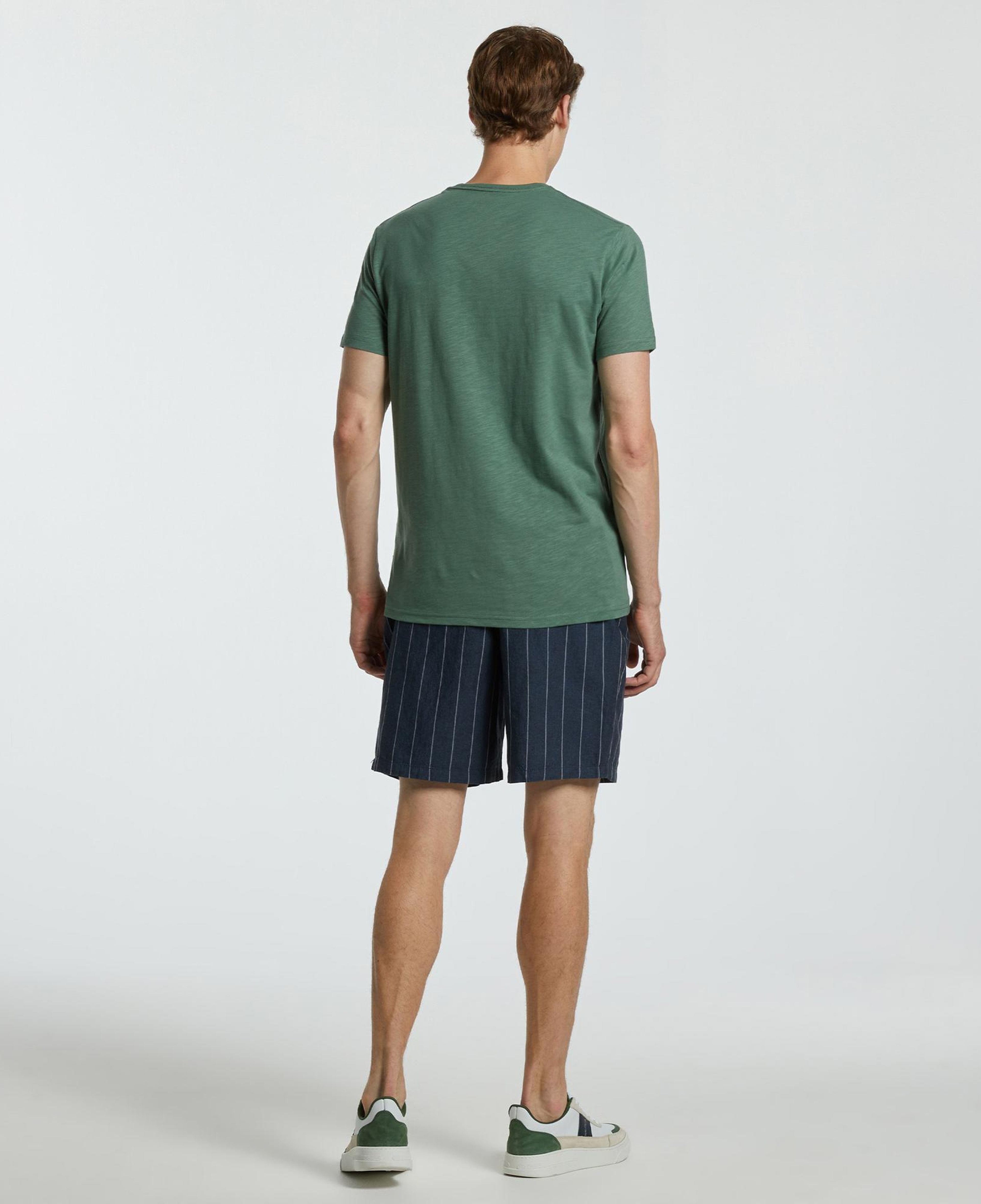 Nautica Erkek Yeşil Standart Fit T-Shirt