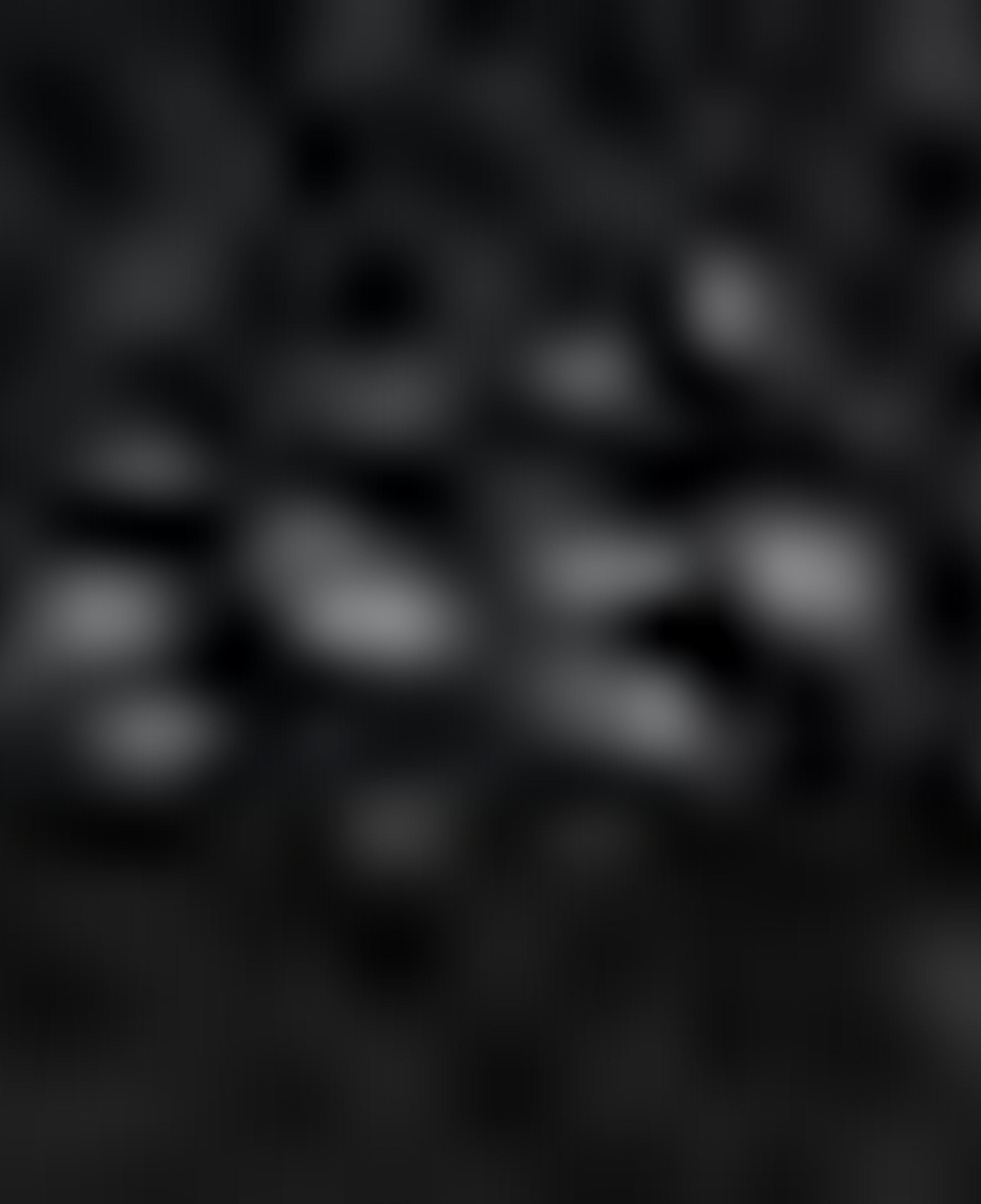 Nautica Kadın Siyah Omuz Çantası