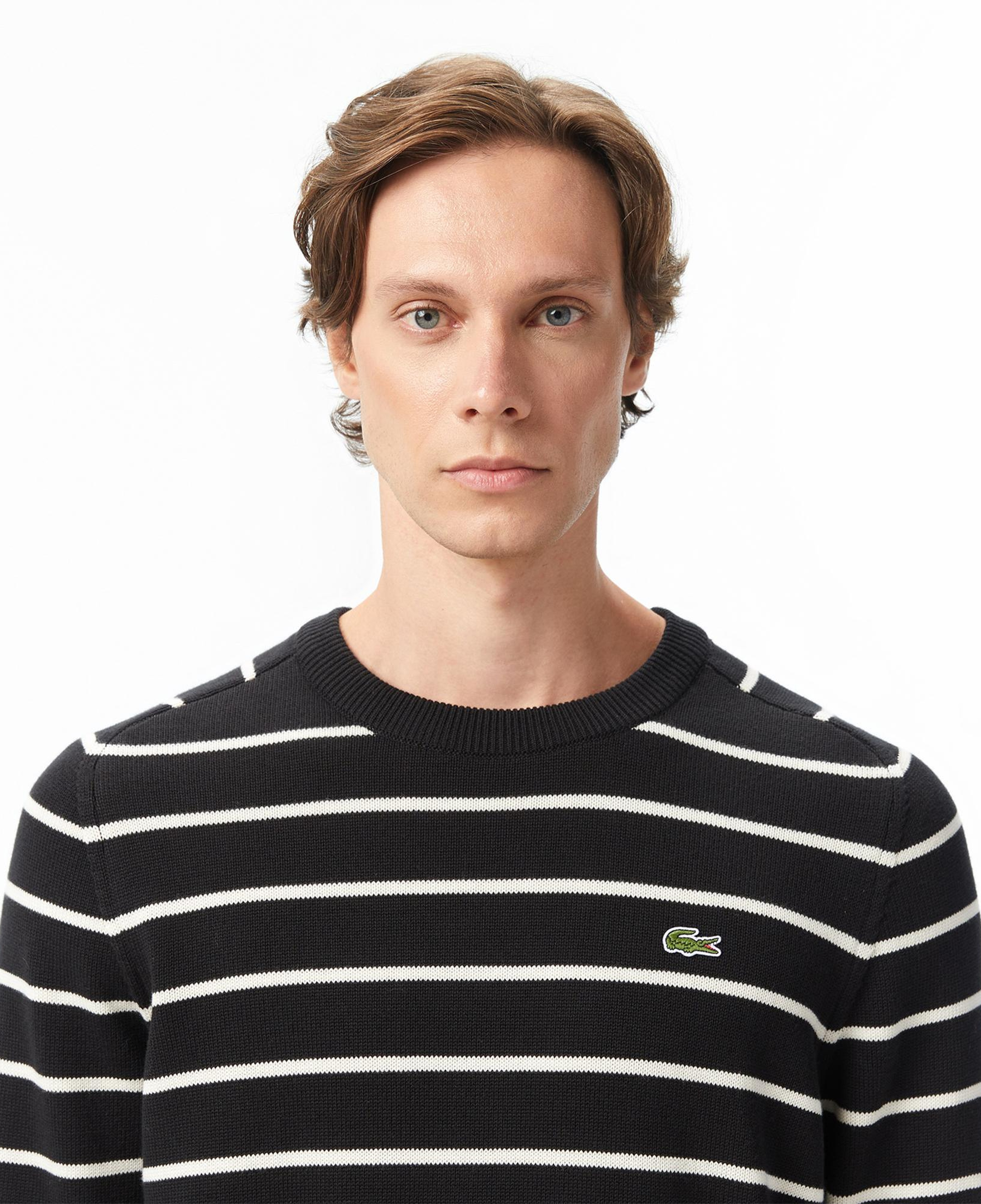 Lacoste Erkek Classic Fit Bisiklet Yaka Çizgili Siyah Kazak