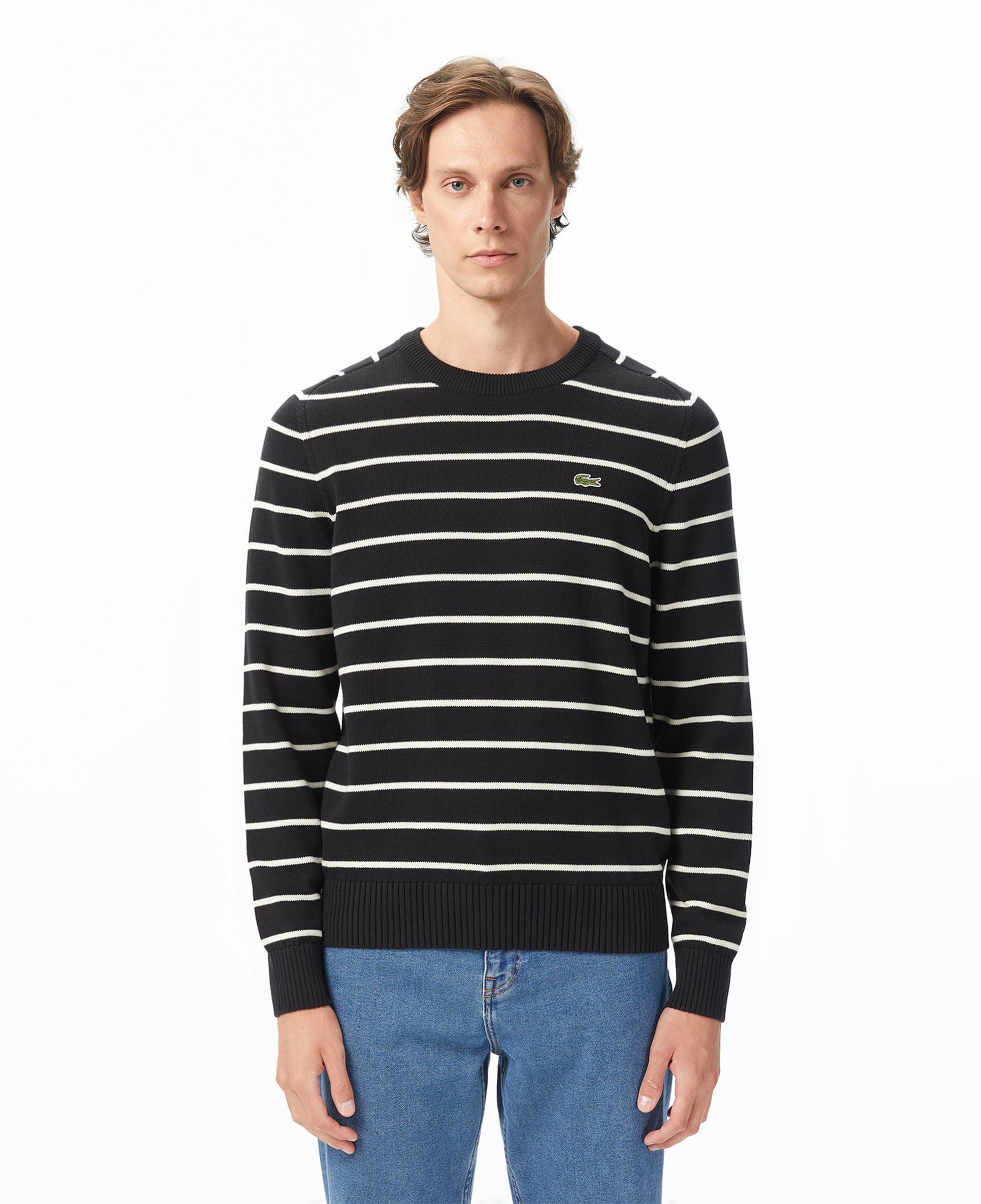 Lacoste Erkek Classic Fit Bisiklet Yaka Çizgili Siyah Kazak