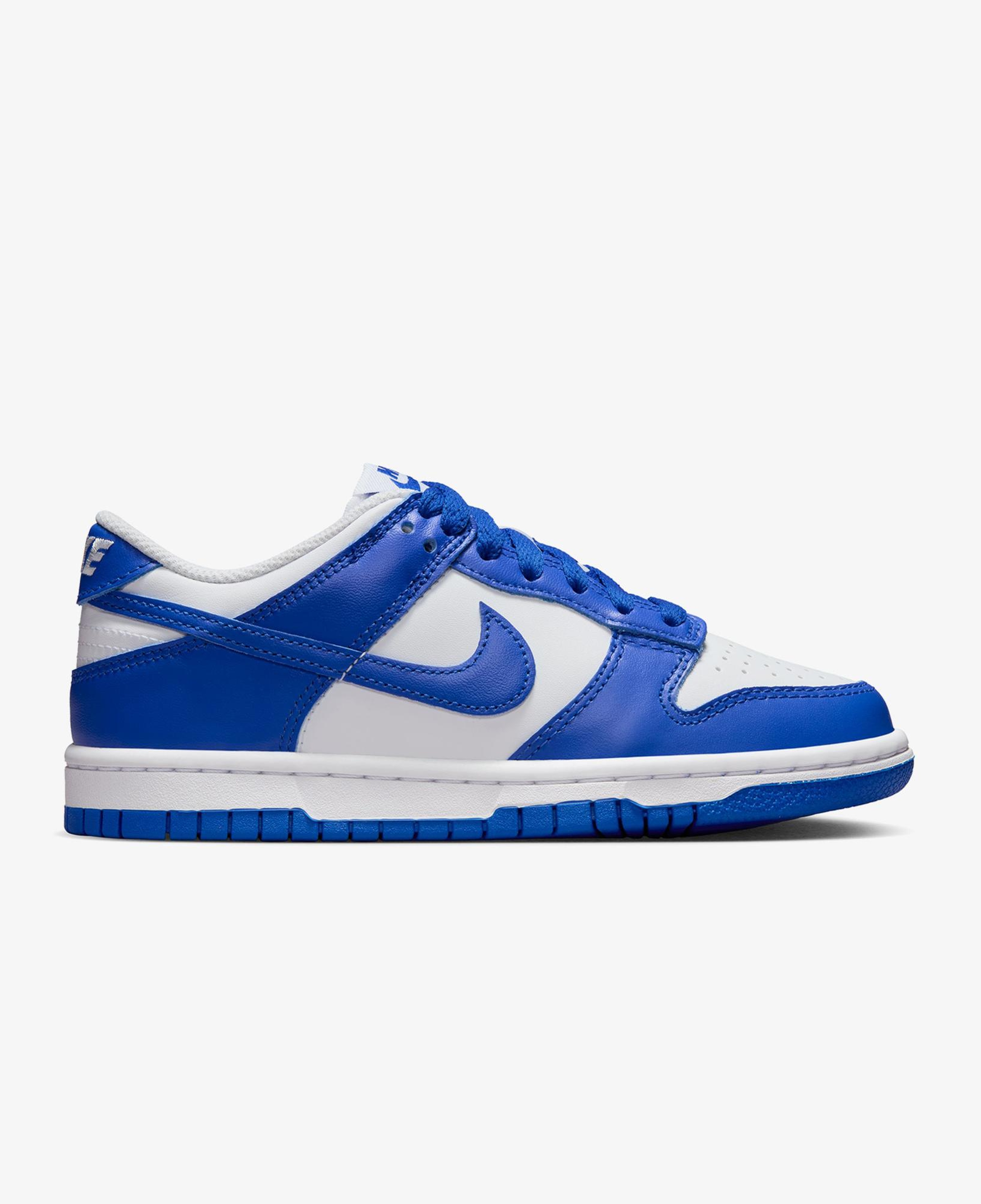 Nike Dunk Low Mavi Spor Ayakkabı