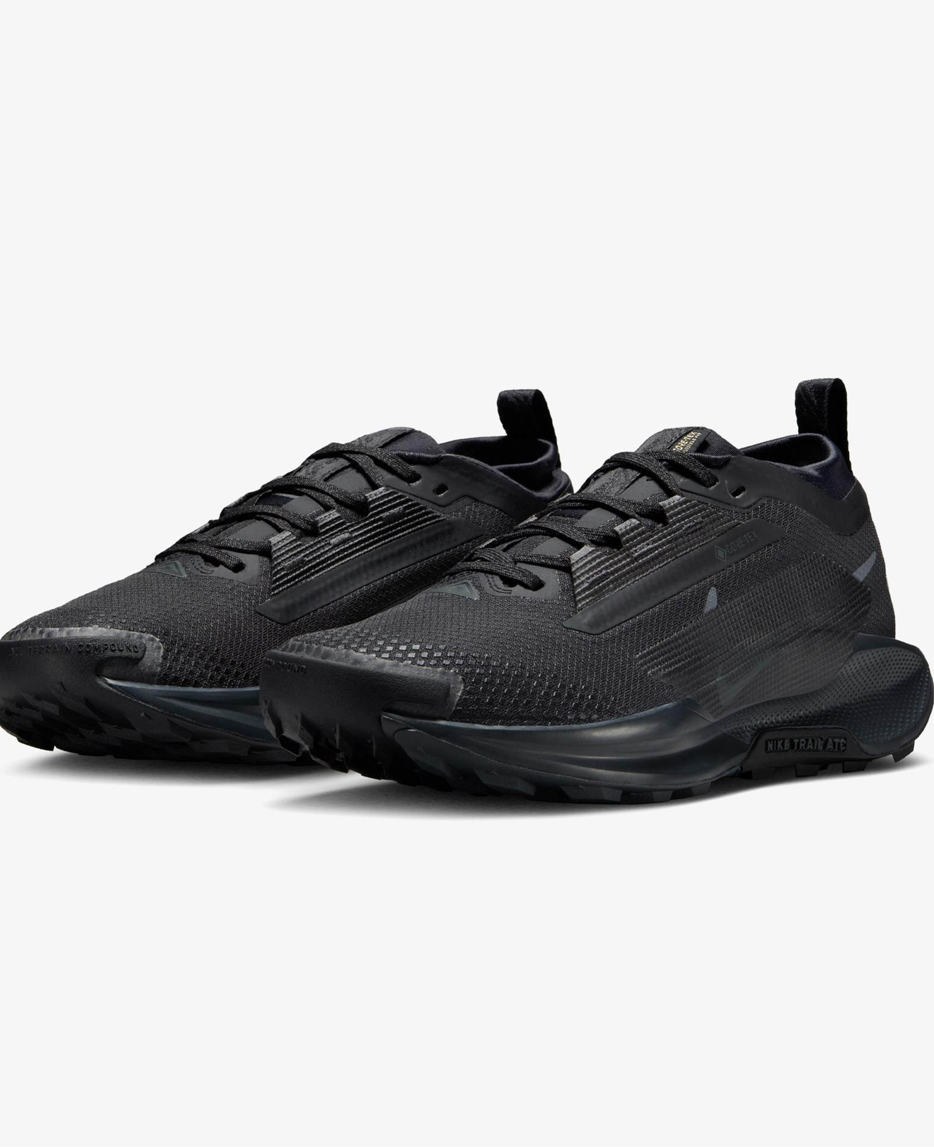 Nike Pegasus Trail 5 Gore-Tex Kadın Siyah Koşu Ayakkabısı