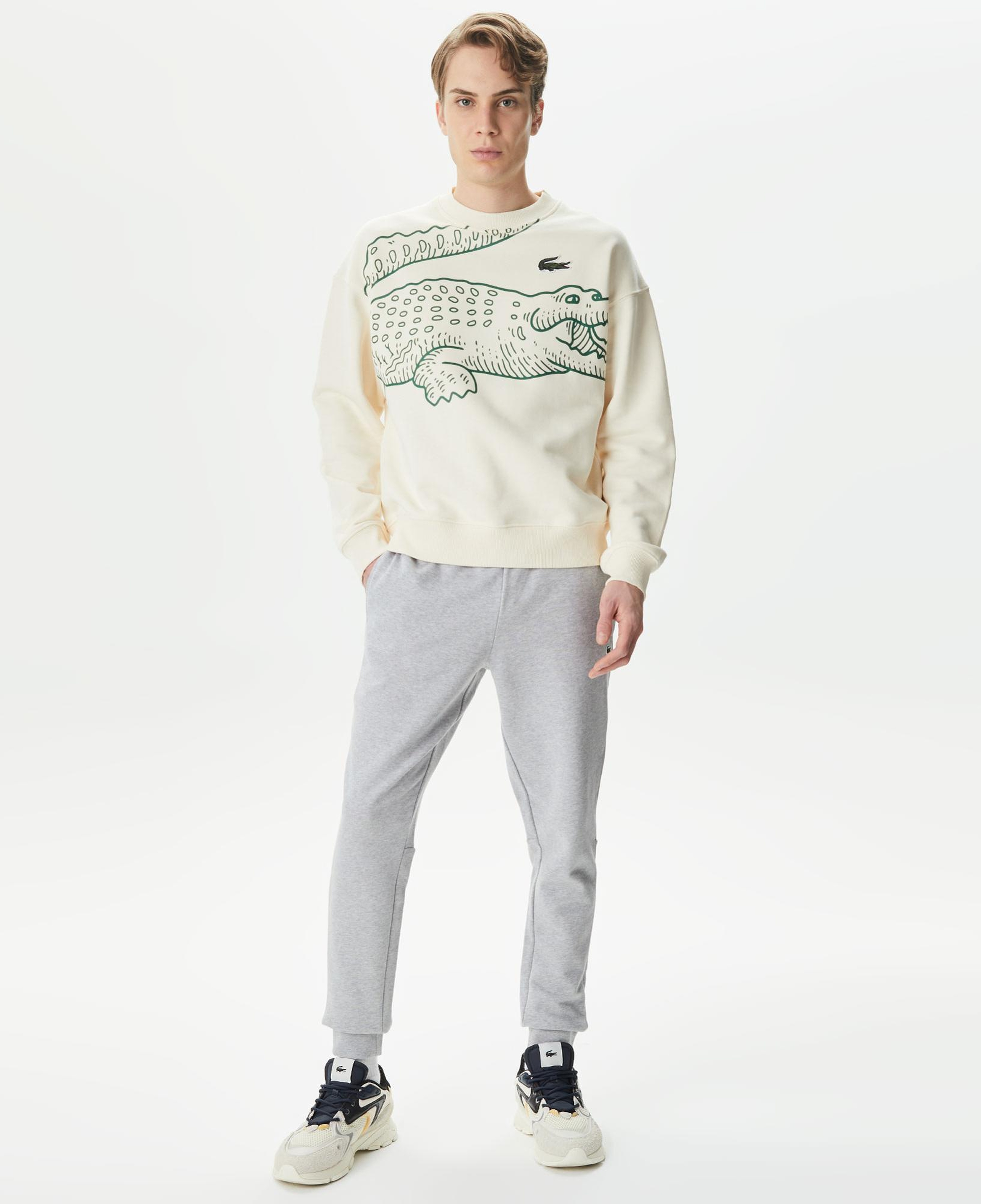 Lacoste Slim Fit Erkek  Gri Eşofman Altı