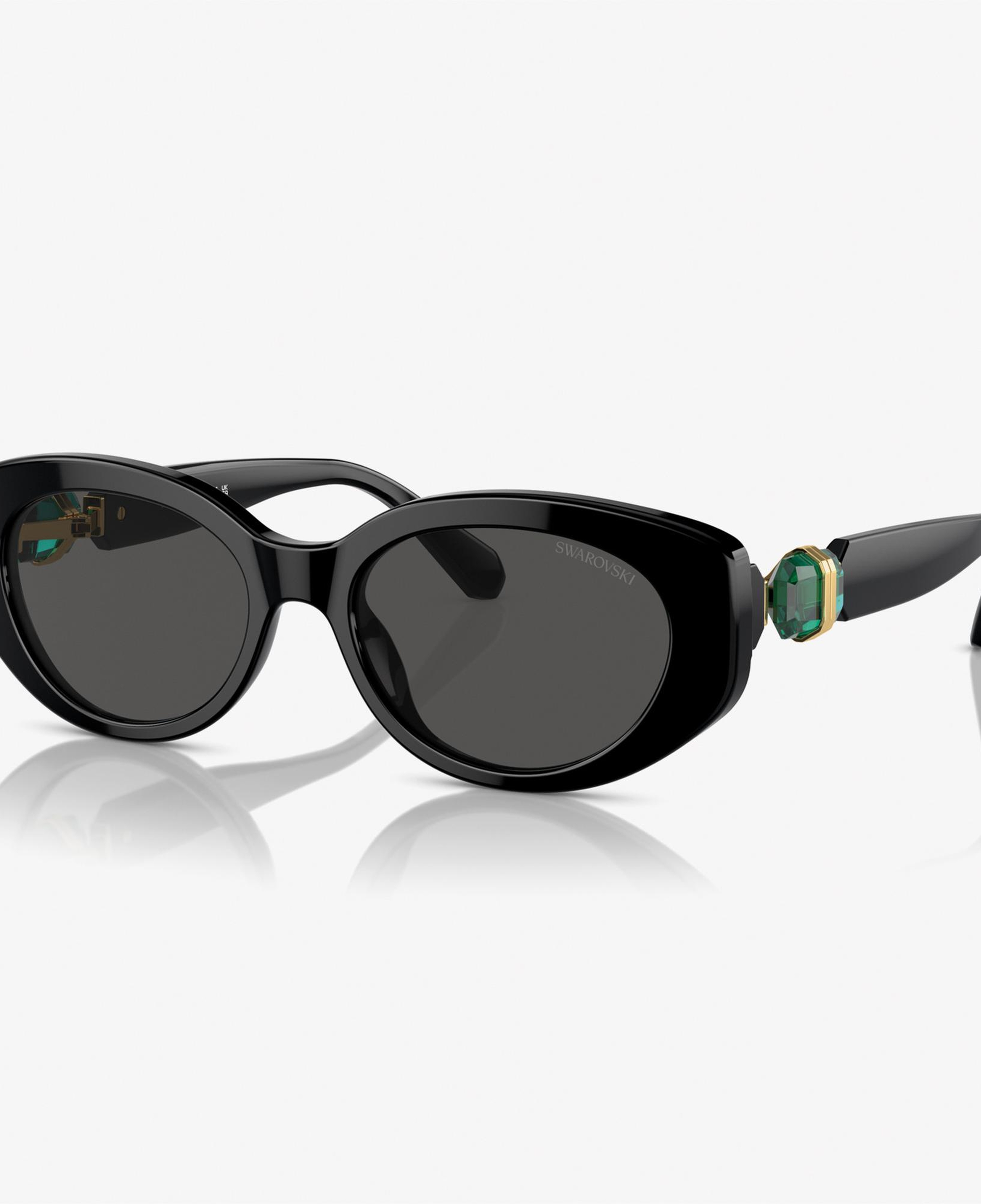 Swarovski 0SK6002 Acetate Kadın Siyah Güneş Gözlüğü