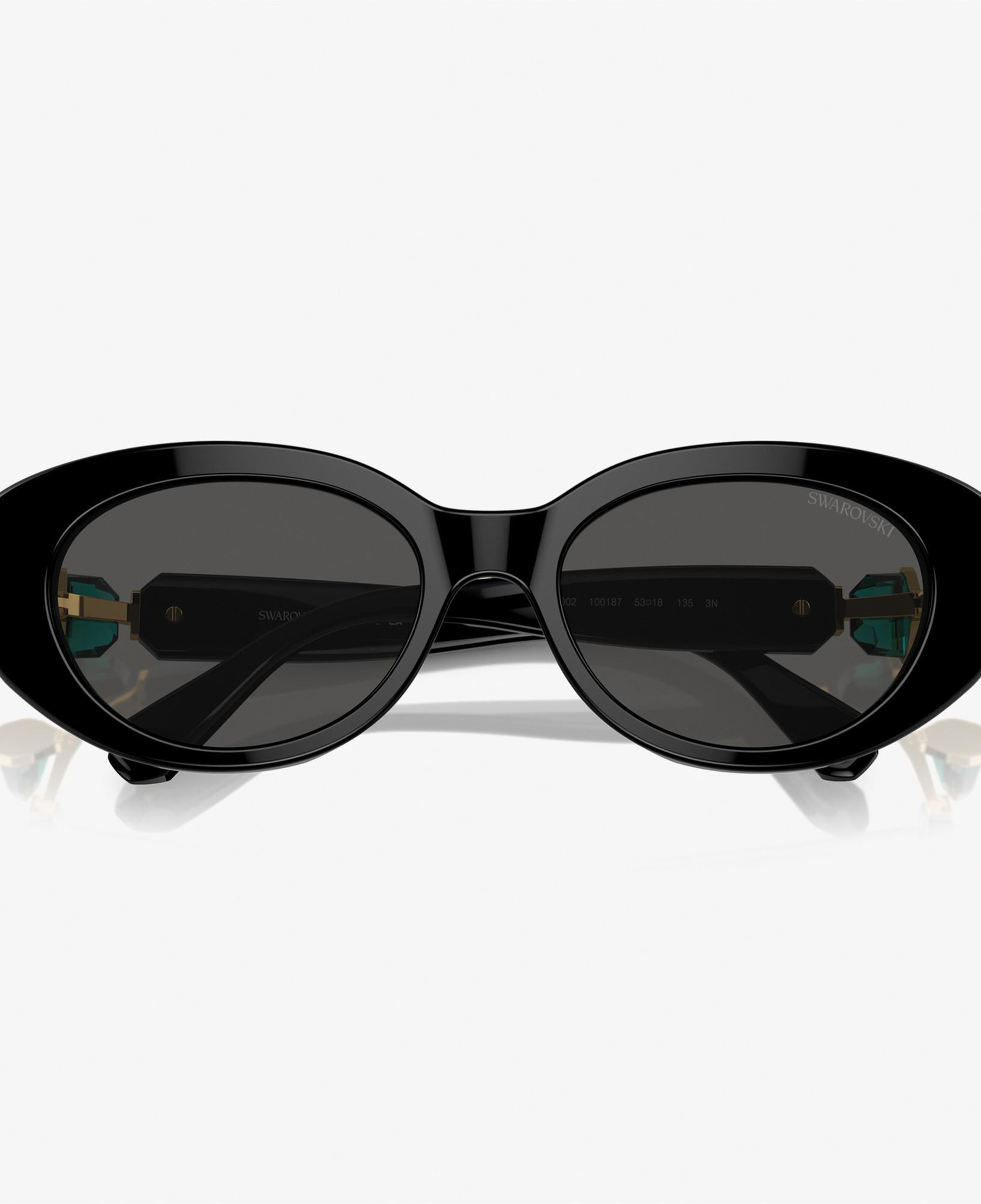 Swarovski 0SK6002 Acetate Kadın Siyah Güneş Gözlüğü