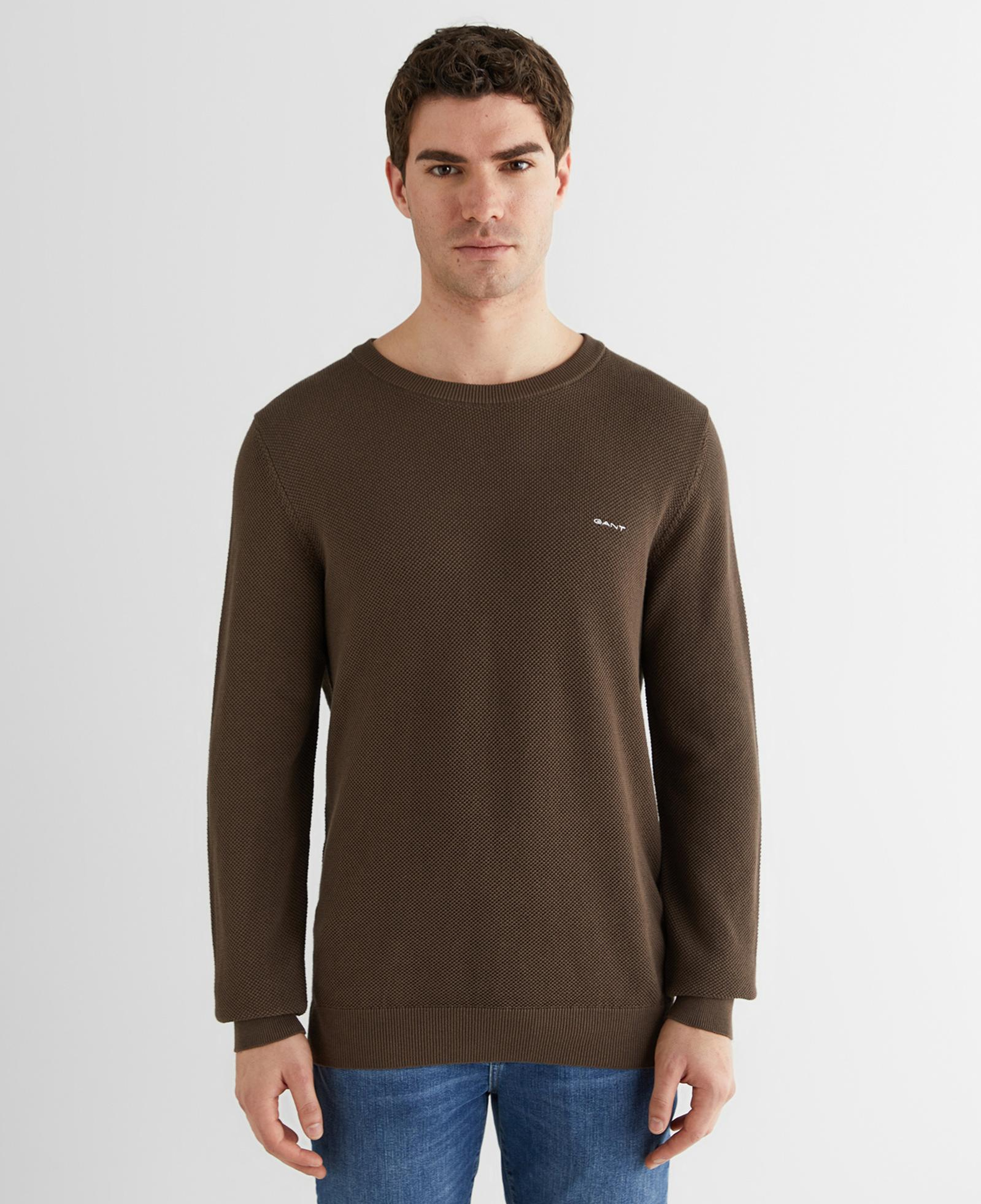 GANT Erkek Kahverengi Regular Fit Bisiklet Yaka Triko