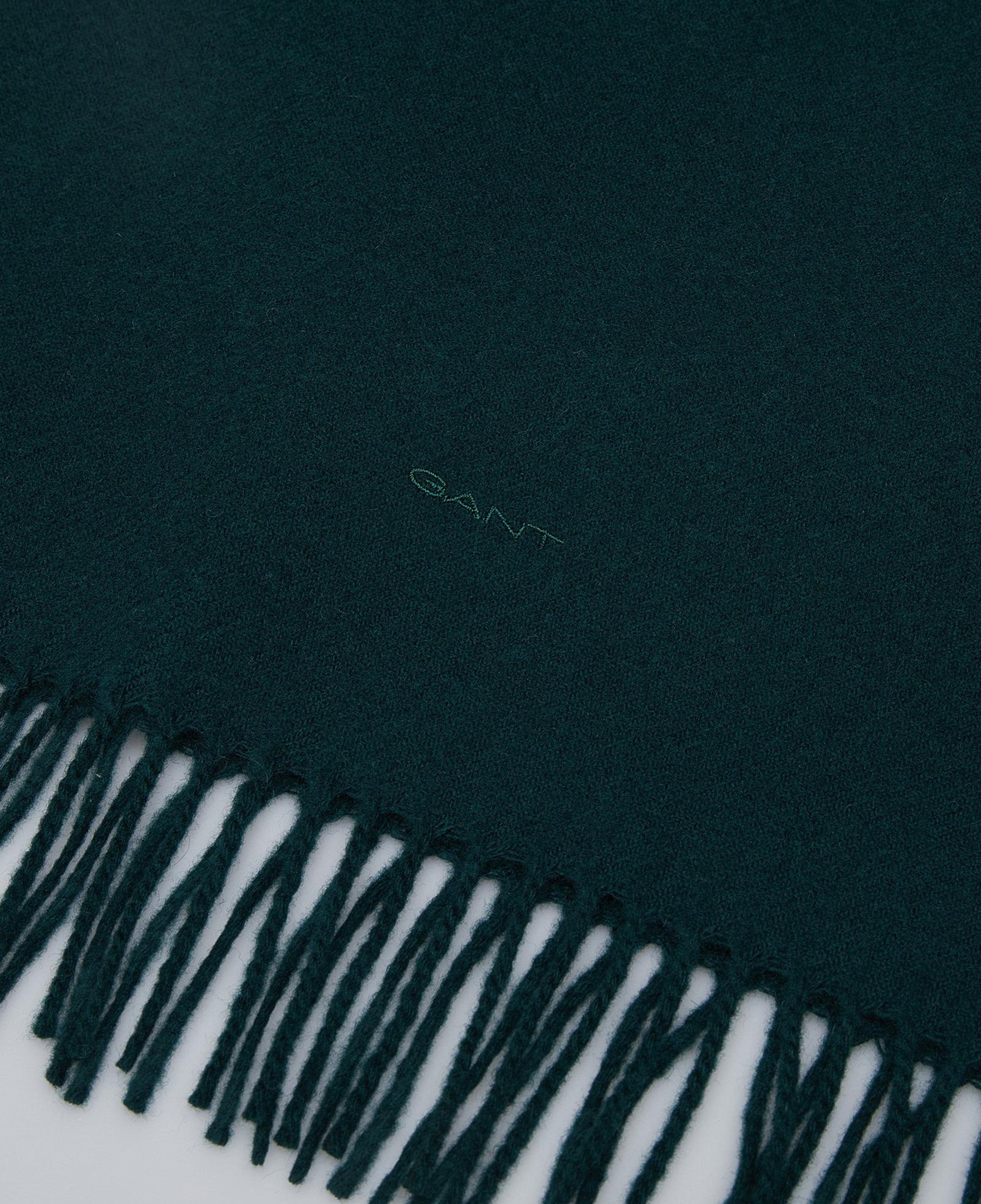 GANT Unisex Yeşil Atkı