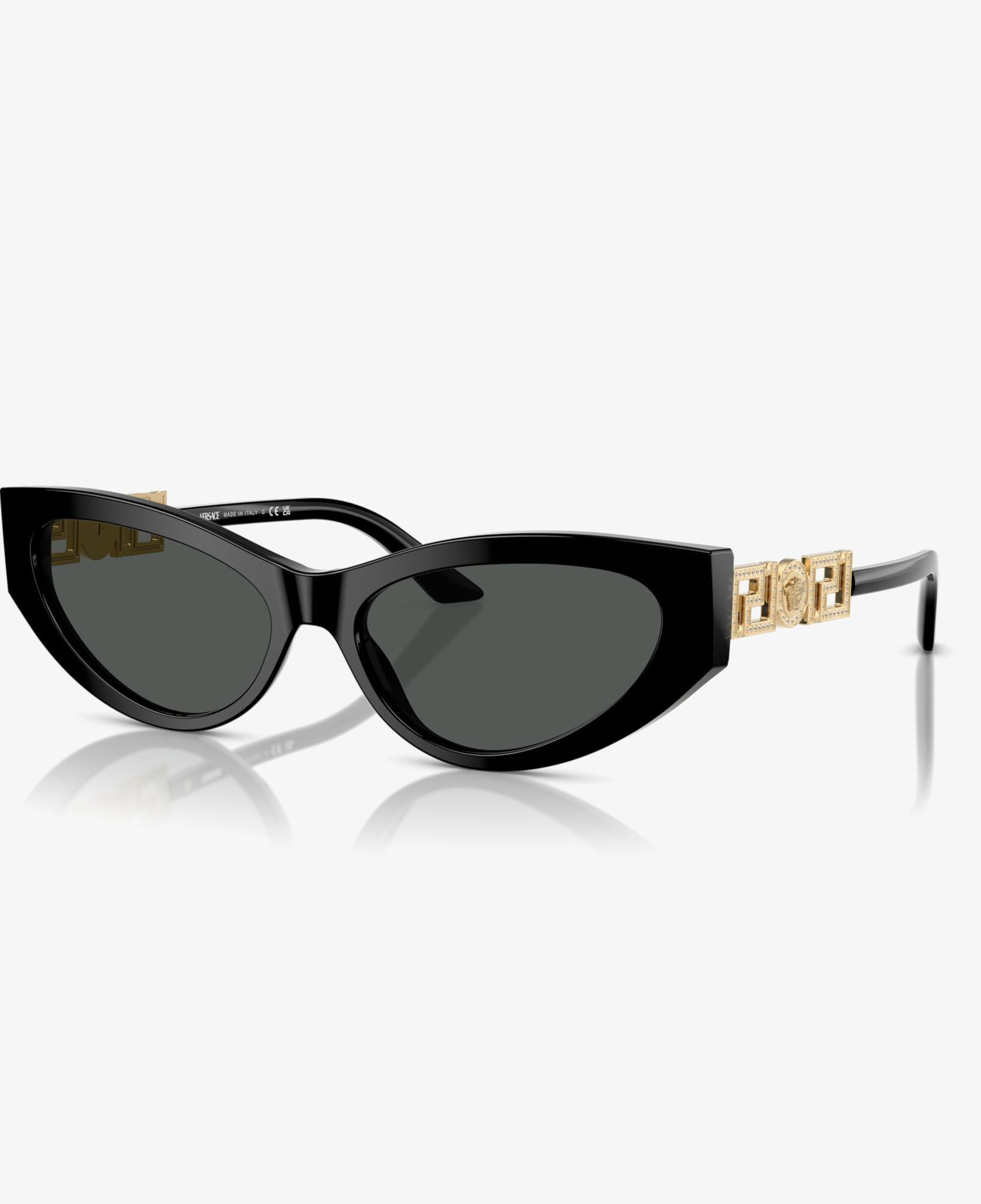VERSACE Ve447B Kadın Siyah Güneş Gözlüğü