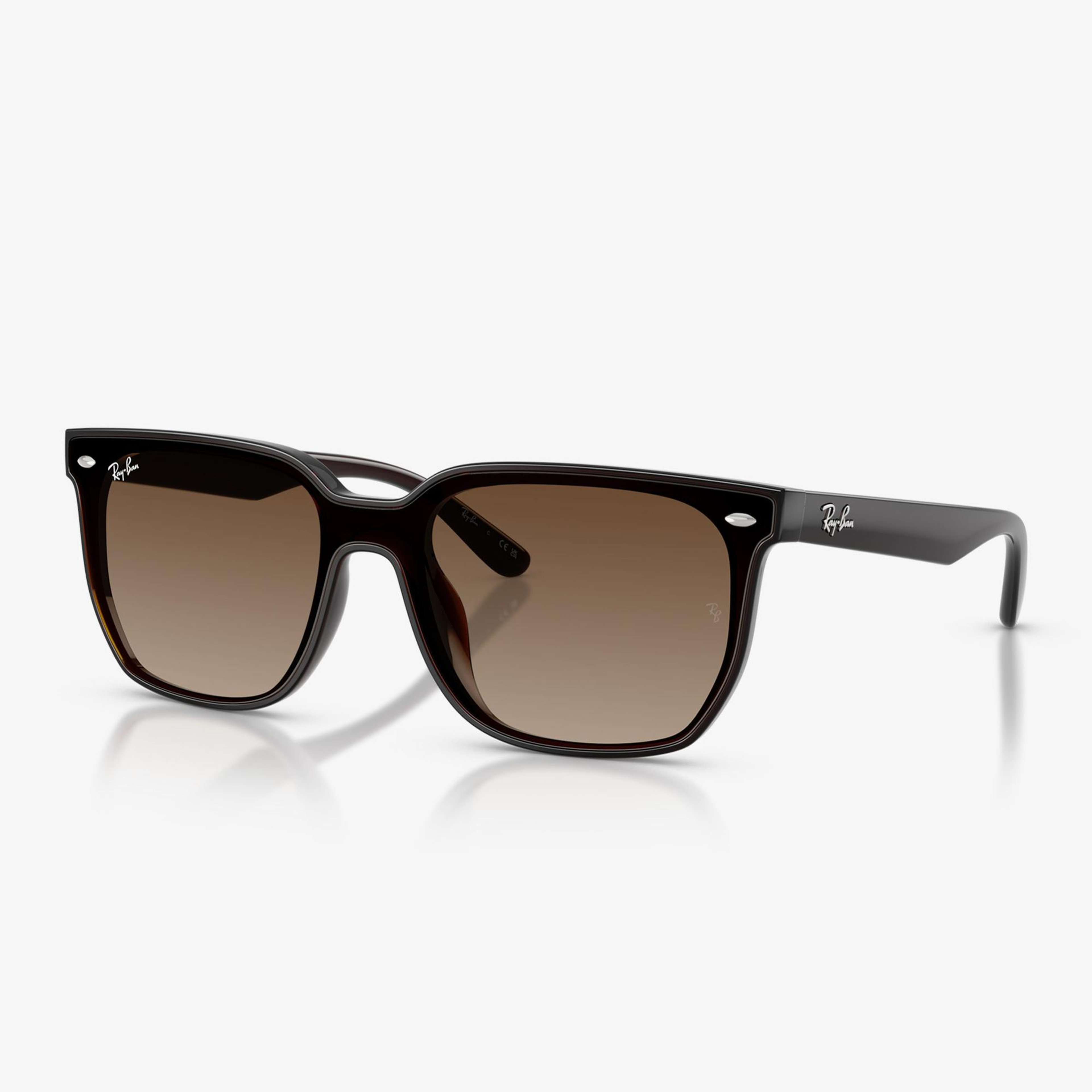 Ray-Ban RB4466D Unisex Kahverengi Güneş Gözlüğü