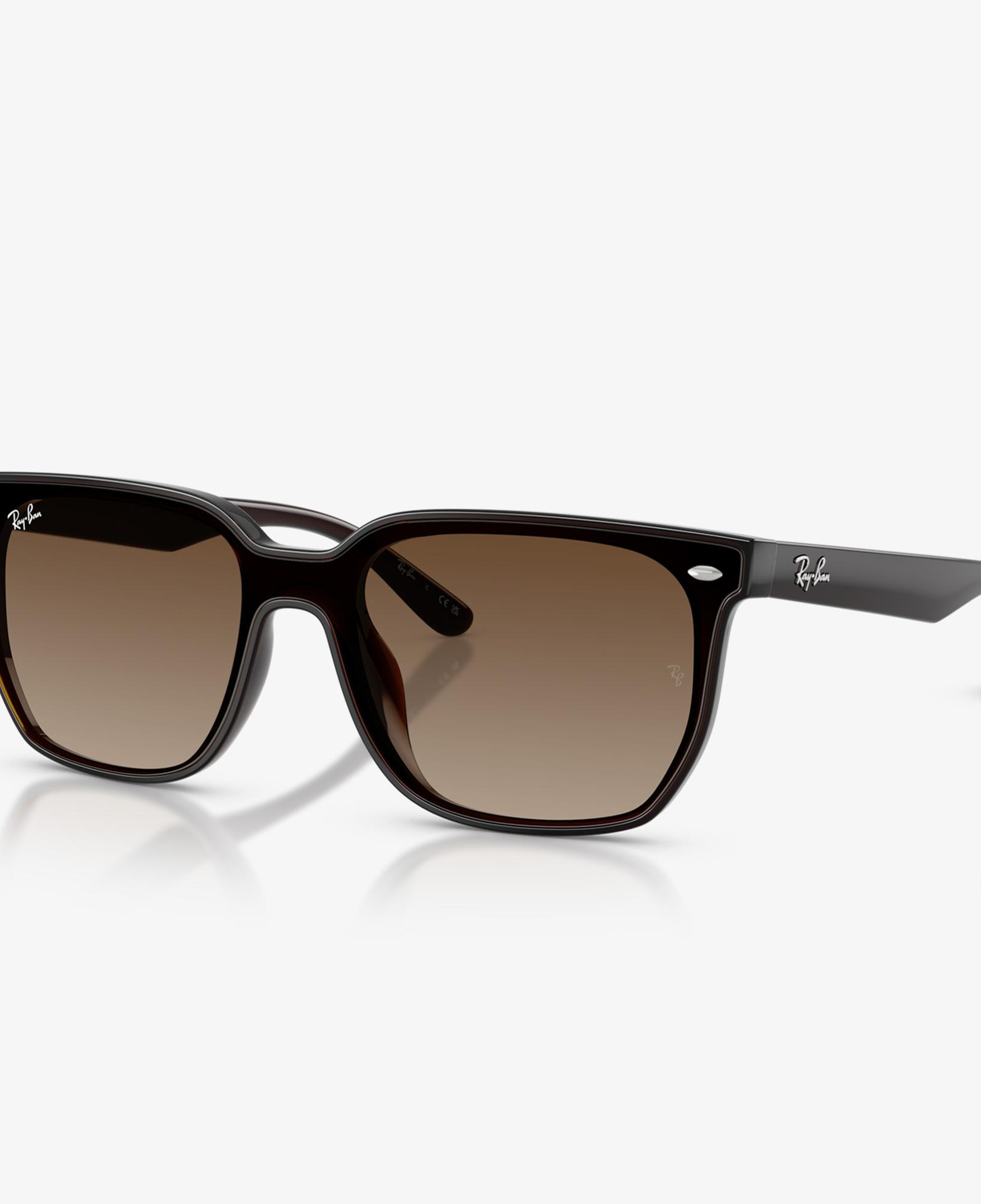 Ray-Ban  RB4466D Unisex Kahverengi Güneş Gözlüğü