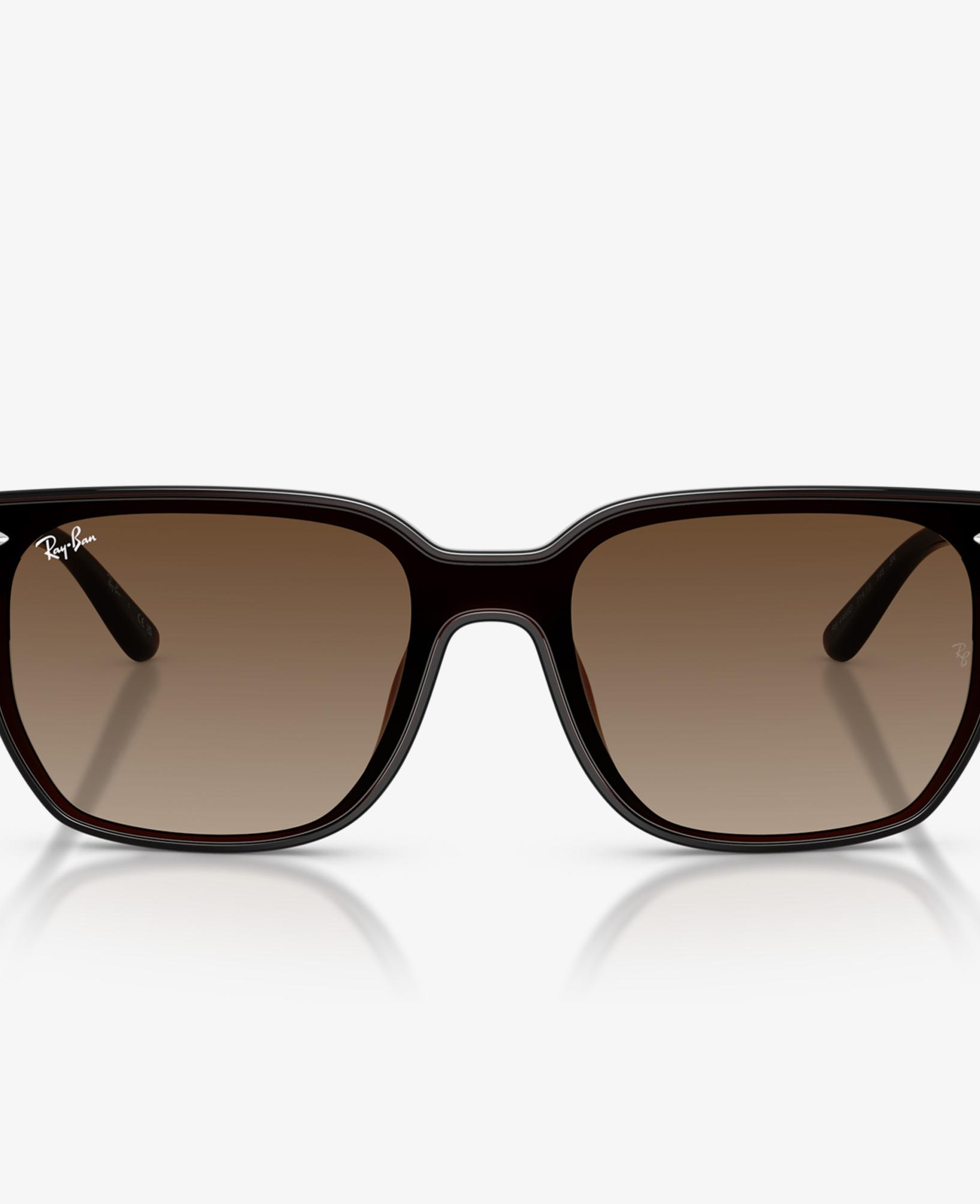 Ray-Ban  RB4466D Unisex Kahverengi Güneş Gözlüğü
