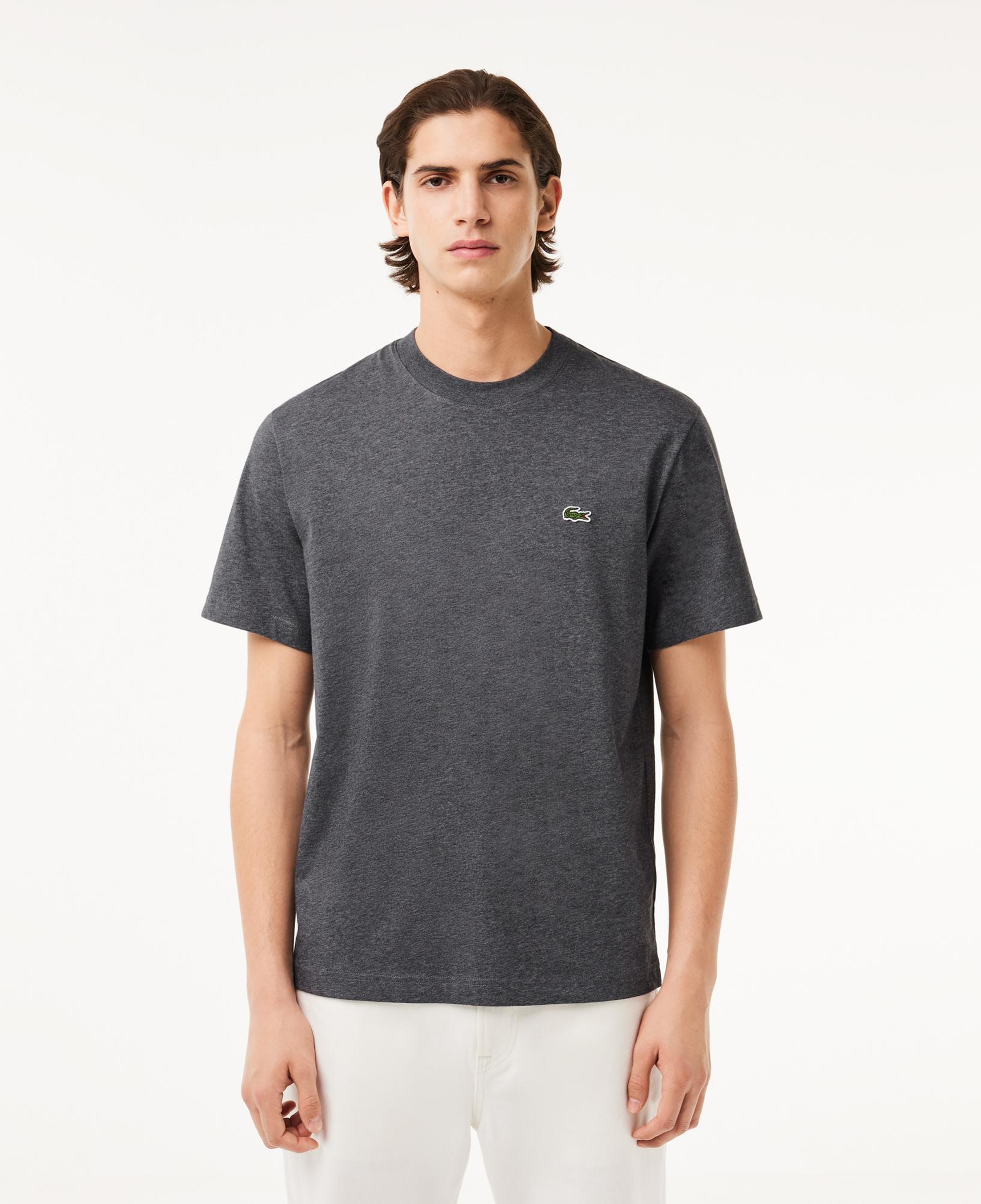 Erkek Classic Fit Bisiklet Yaka Gri T-Shirt