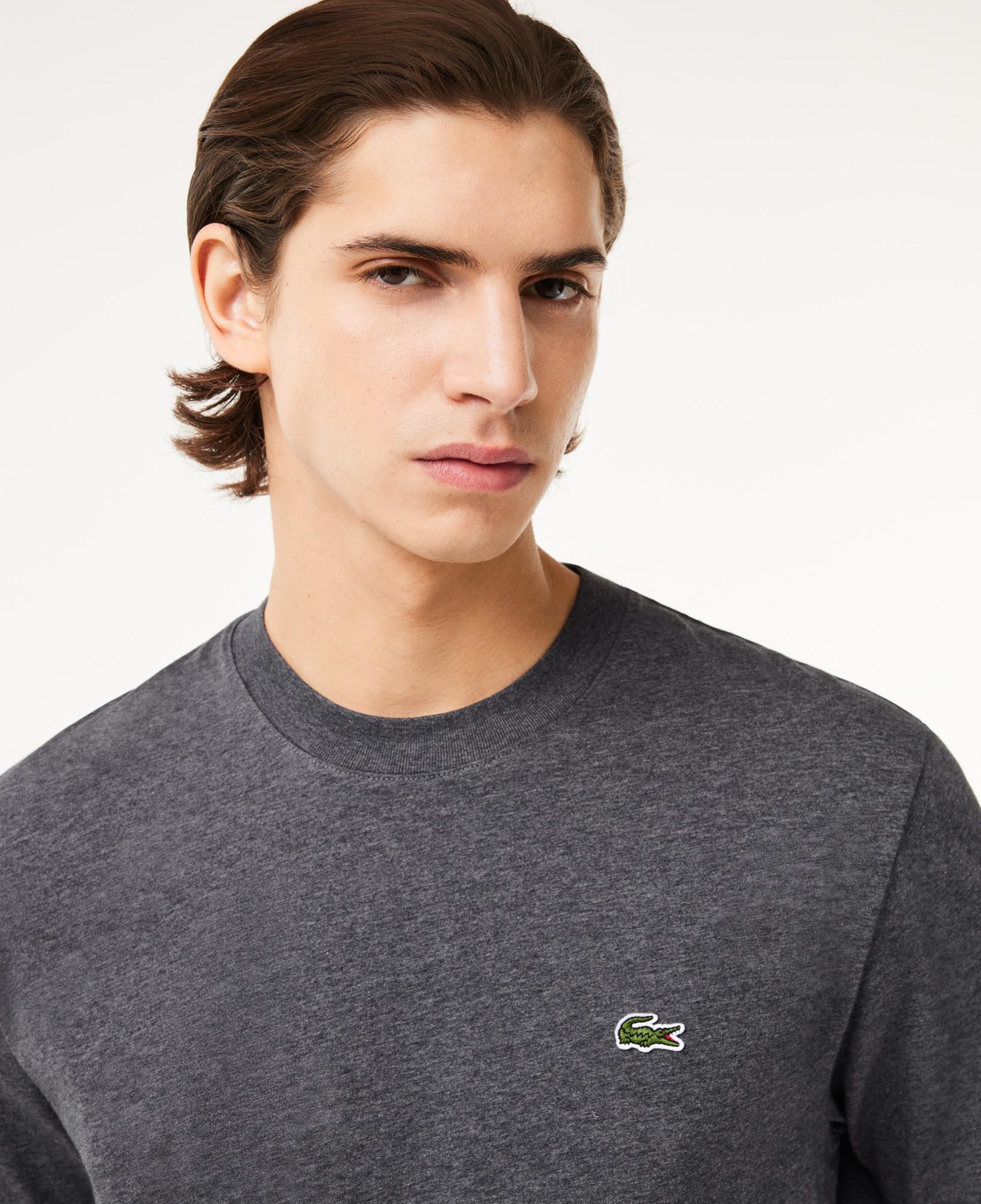 Erkek Classic Fit Bisiklet Yaka Gri T-Shirt