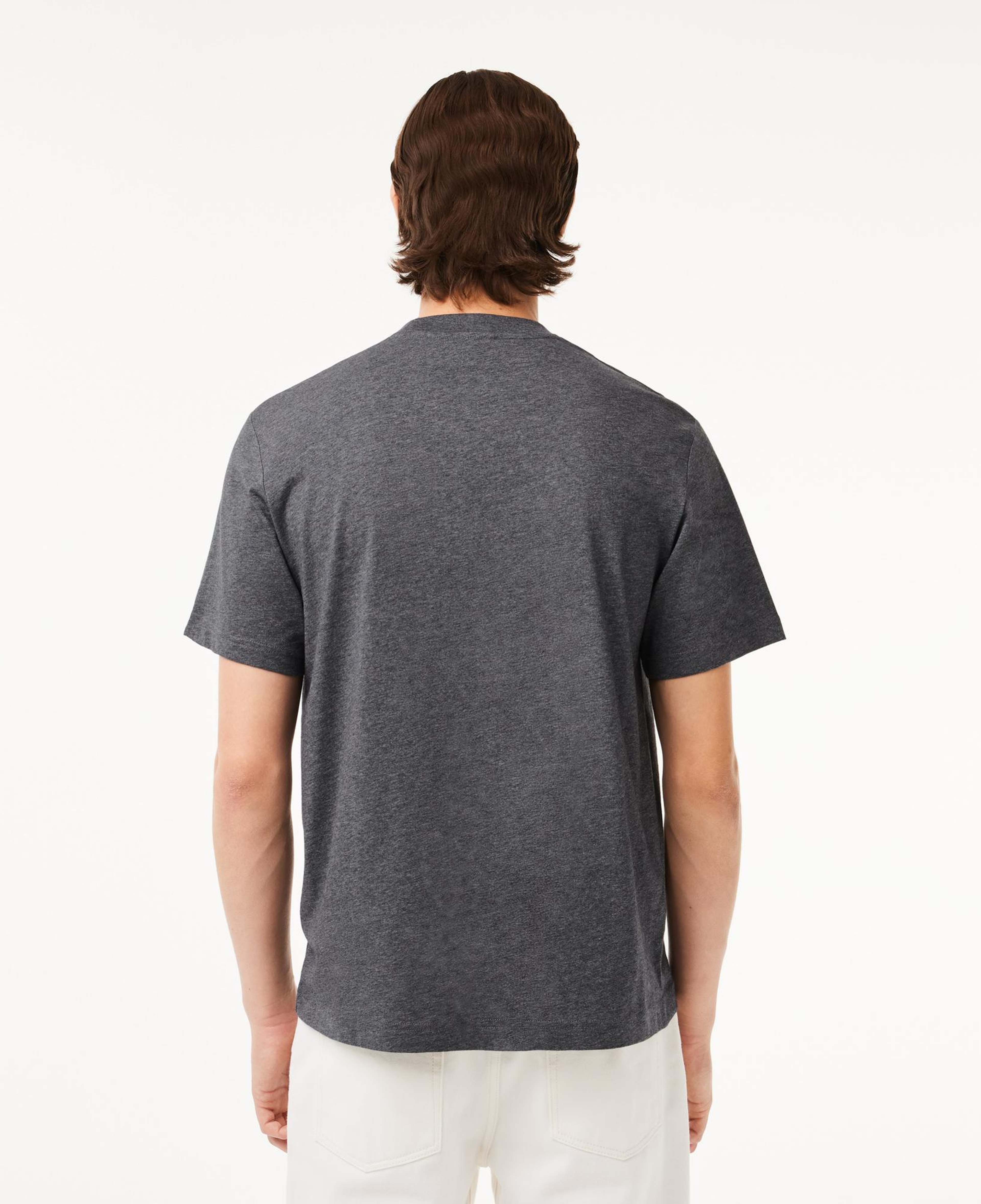 Erkek Classic Fit Bisiklet Yaka Gri T-Shirt