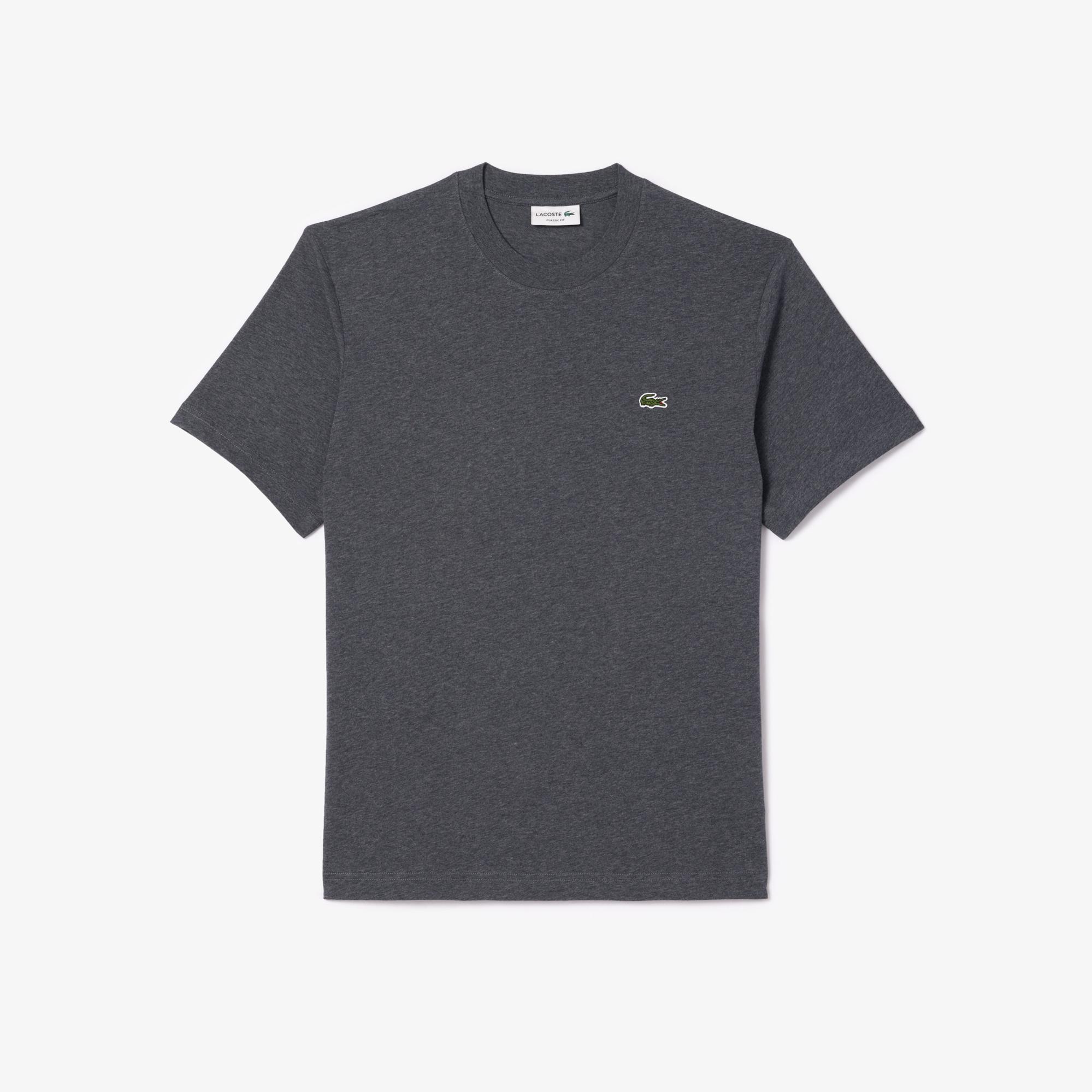 Erkek Classic Fit Bisiklet Yaka Gri T-Shirt