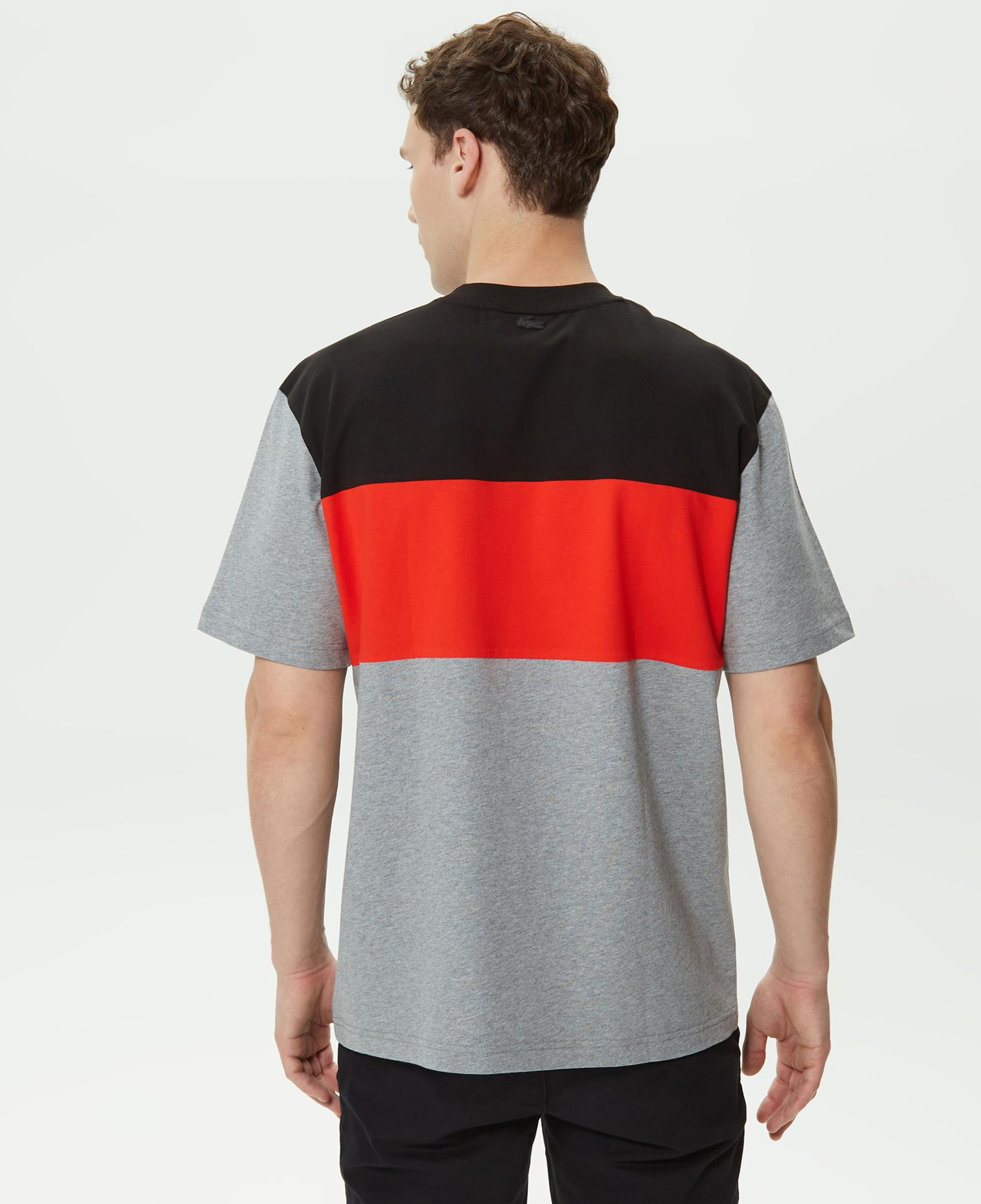 Erkek Relaxed Fit Bisiklet Yaka Renk Bloklu Gri T-Shirt