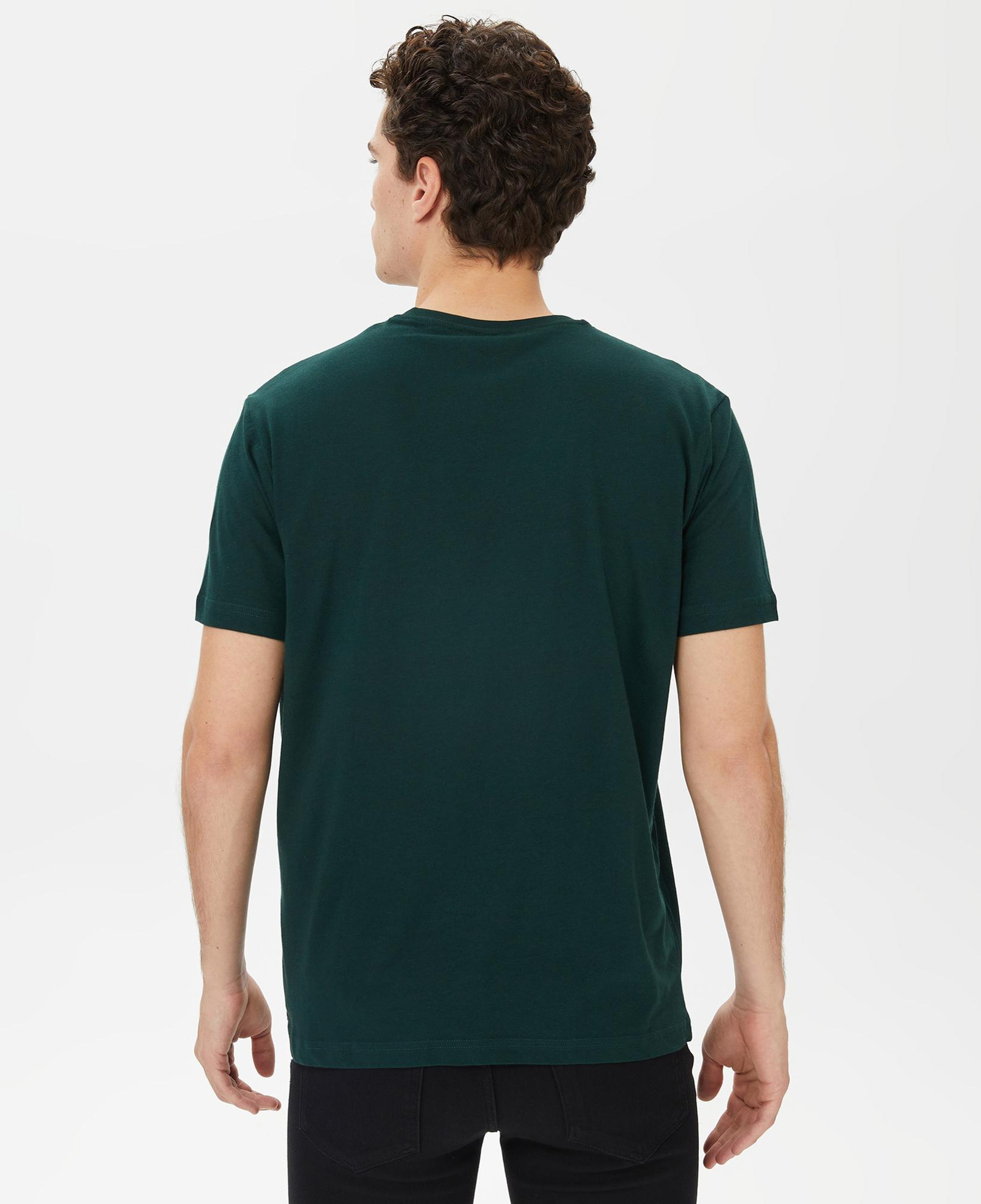 Nautica Erkek Yeşil Kısa Kollu Standart Fit T-Shirt