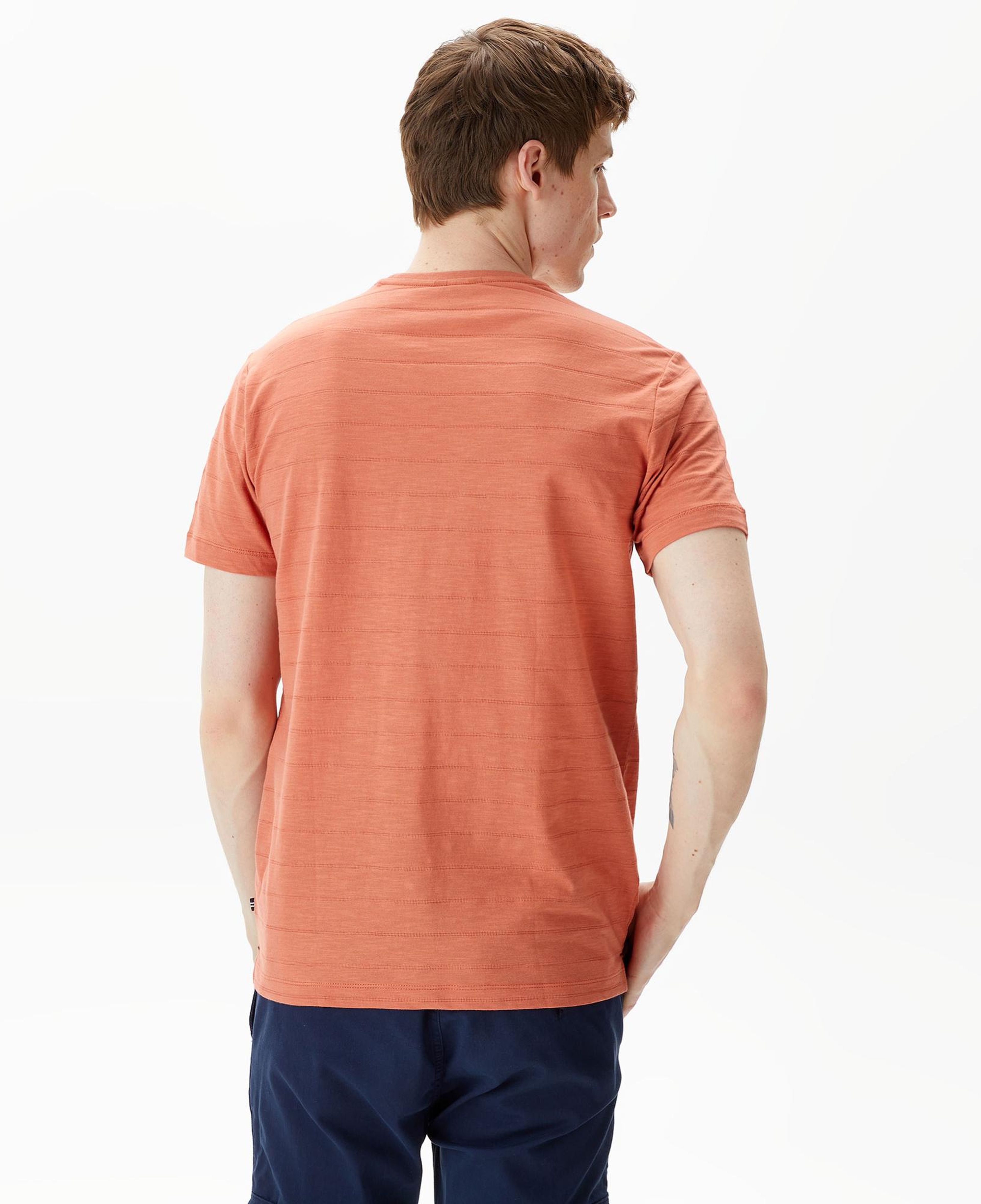 Nautica Erkek Turuncu Standart Fit T-Shirt