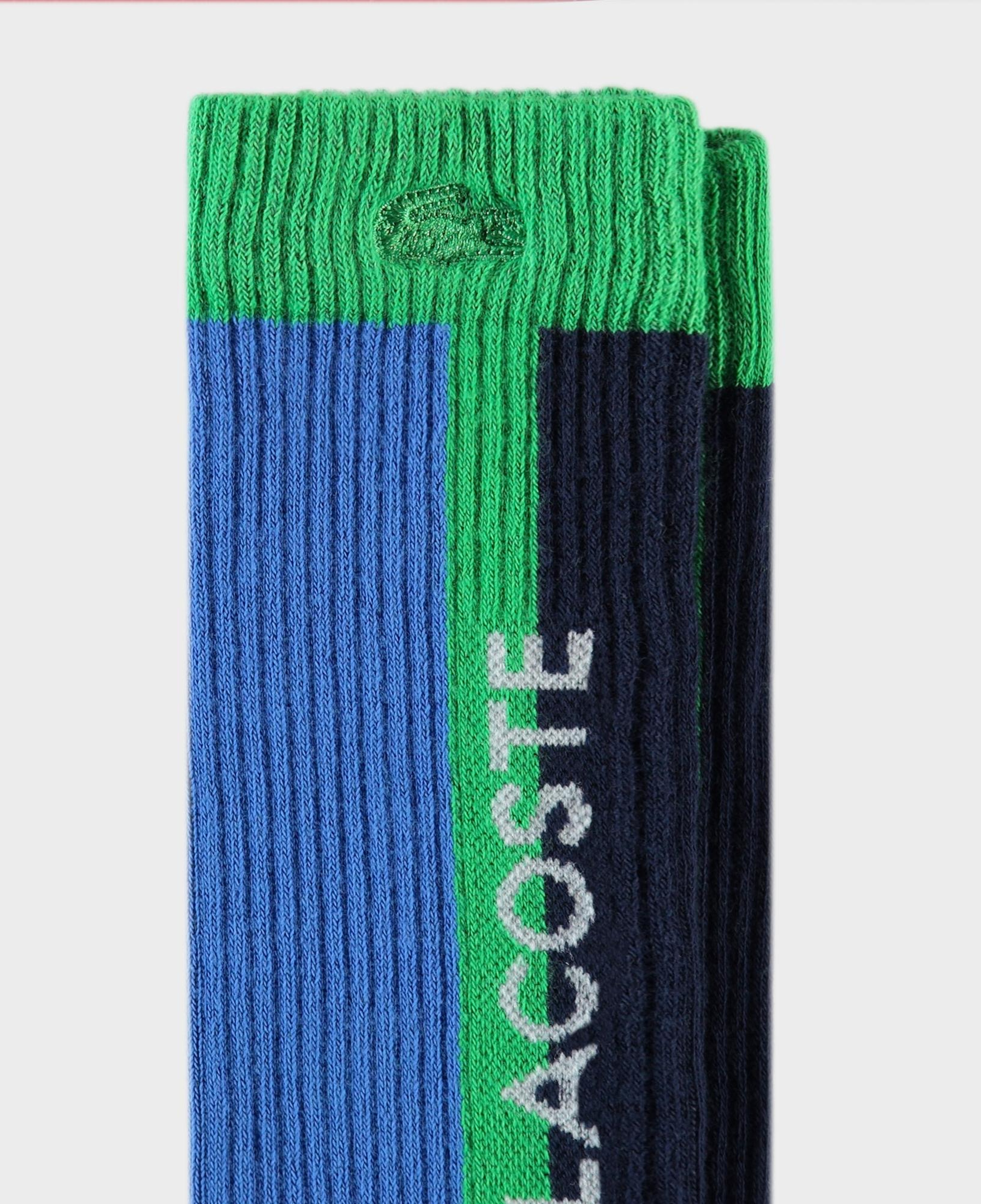 Lacoste Erkek Renk Bloklu Renkli Çorap