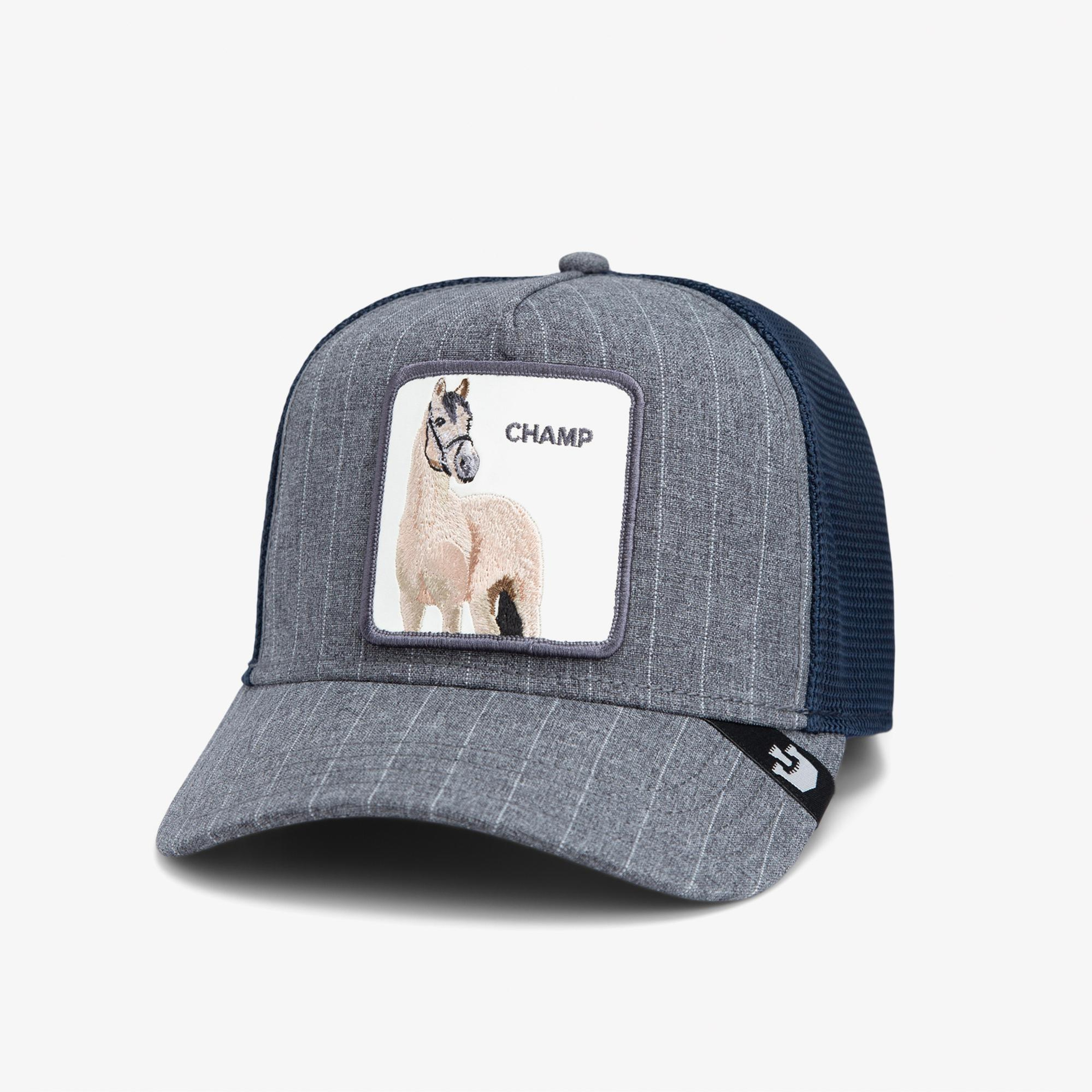 Goorin Bros Suited Champ Unisex Gri Şapka