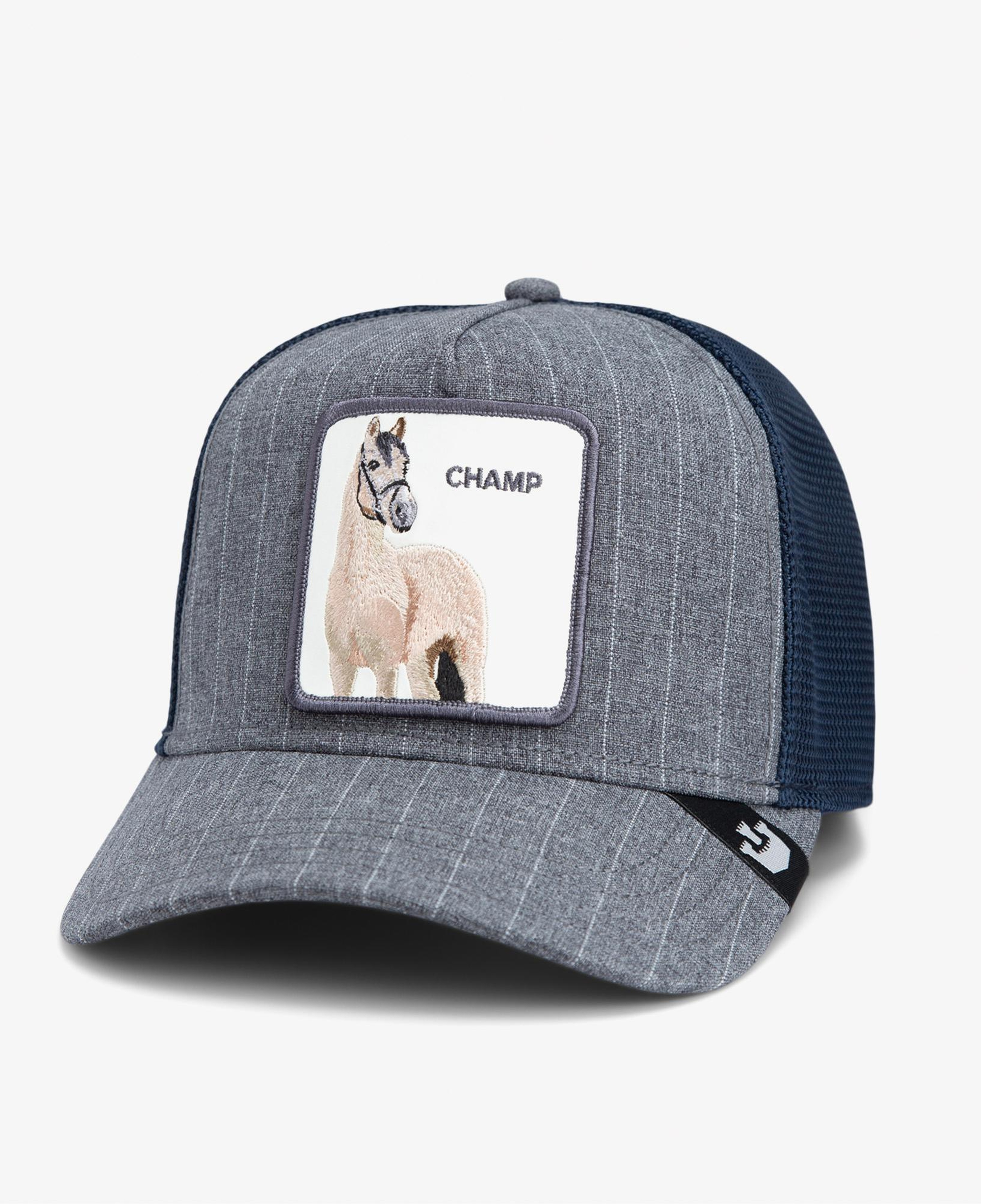 Goorin Bros Suited Champ Unisex Gri Şapka