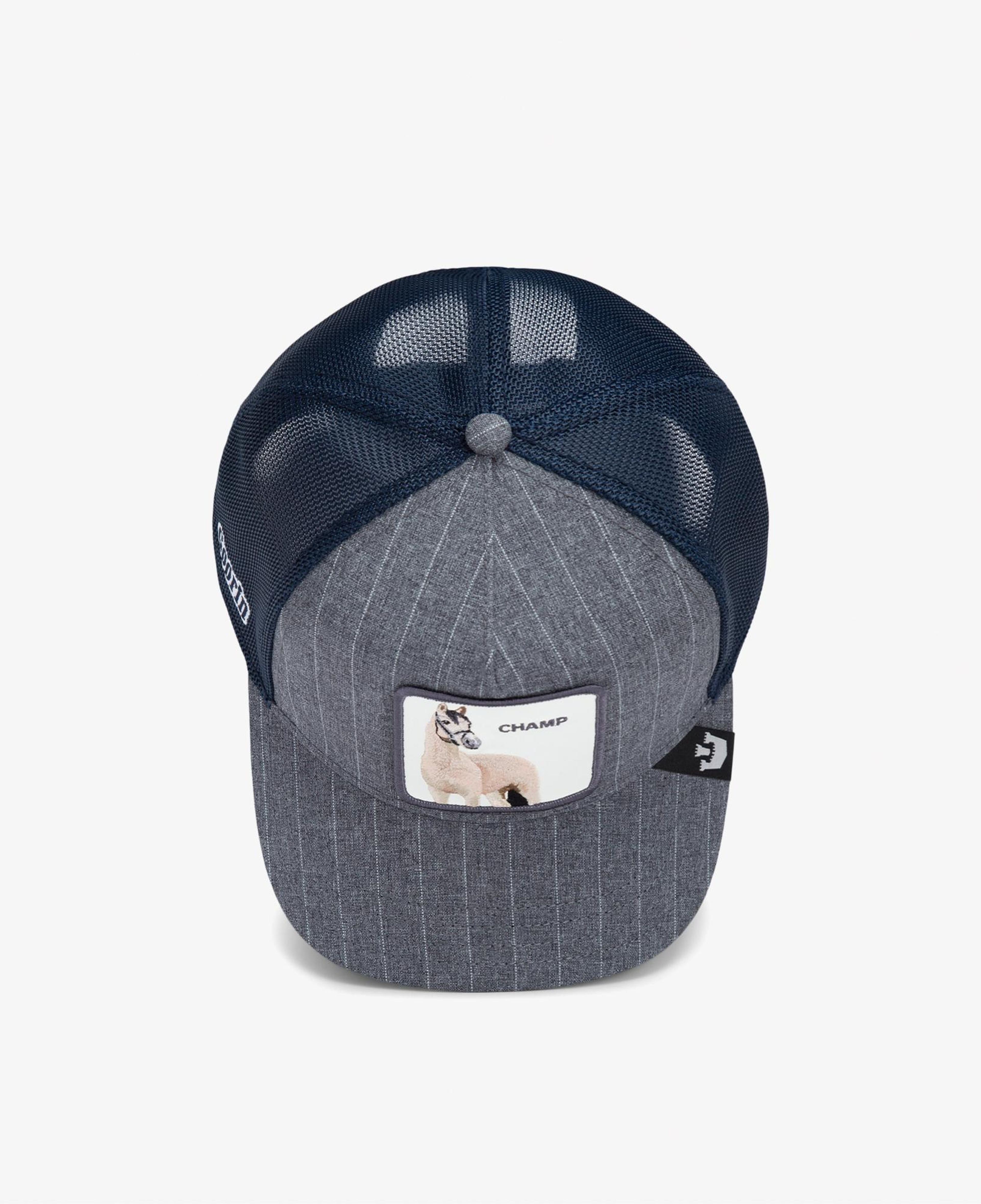 Goorin Bros Suited Champ Unisex Gri Şapka