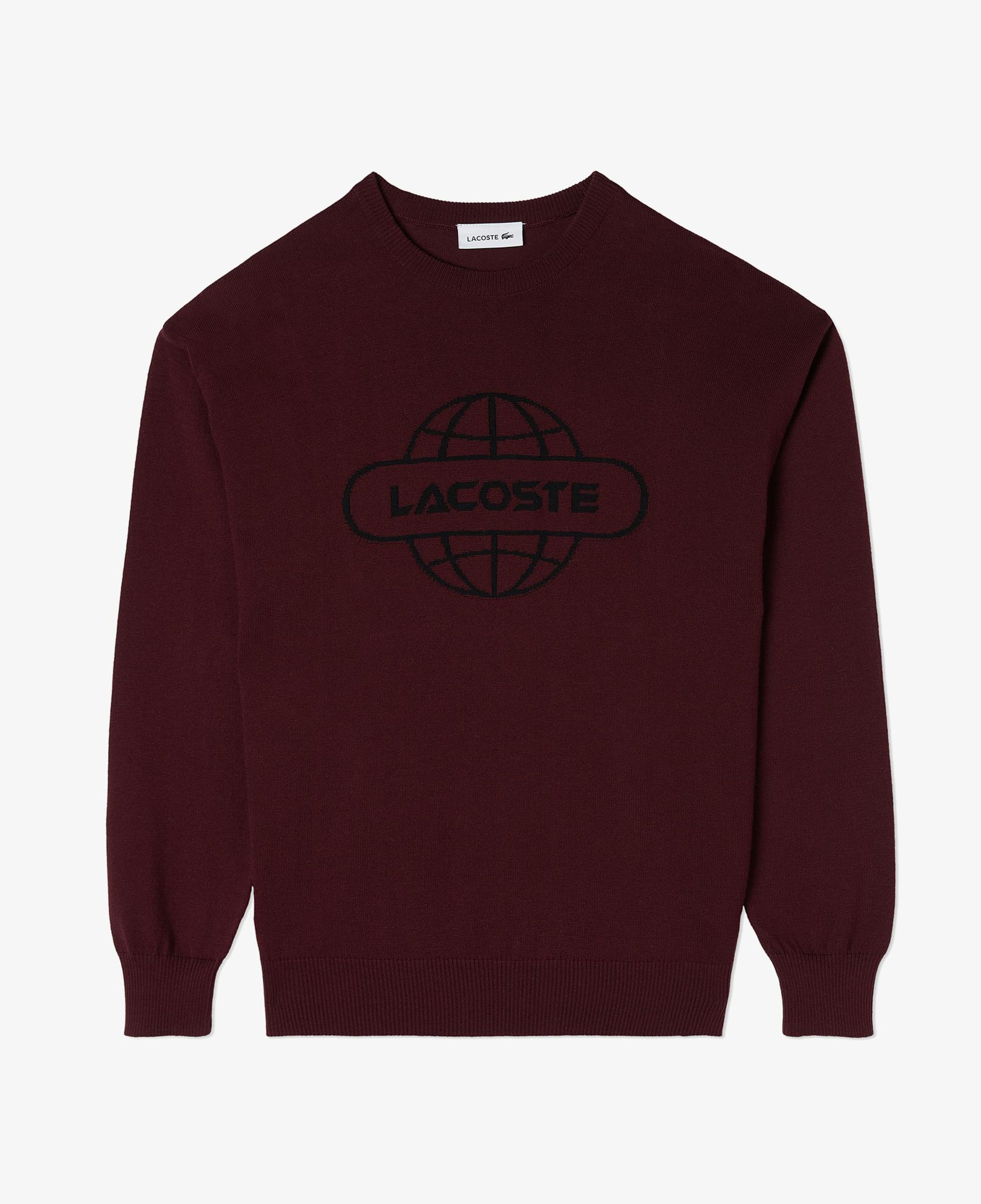 Kadın Regular Fit Bisiklet Yaka Baskılı Kırmızı Kazak