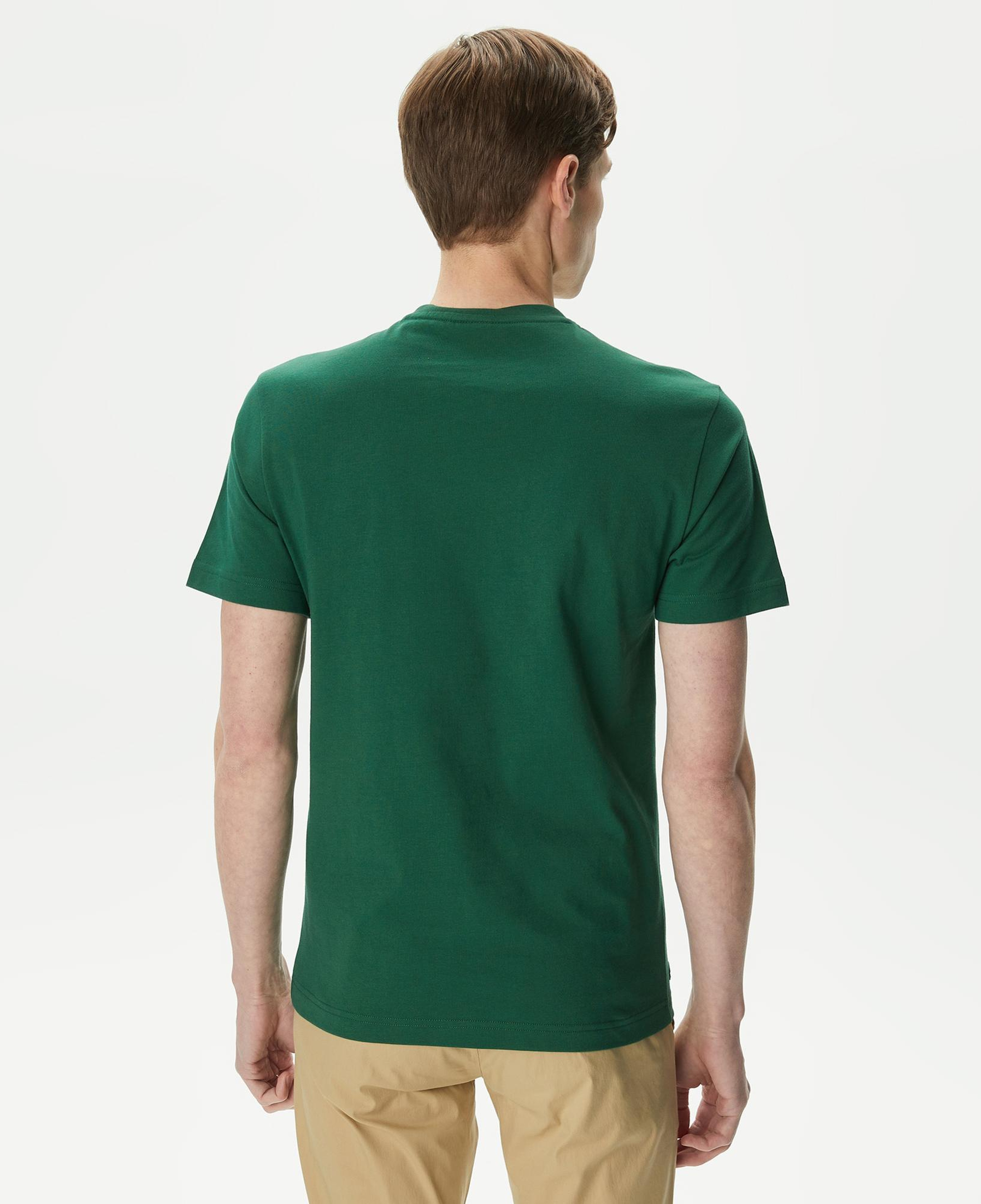 Erkek Regular Fit Bisiklet Yaka Baskılı Yeşil T-Shirt