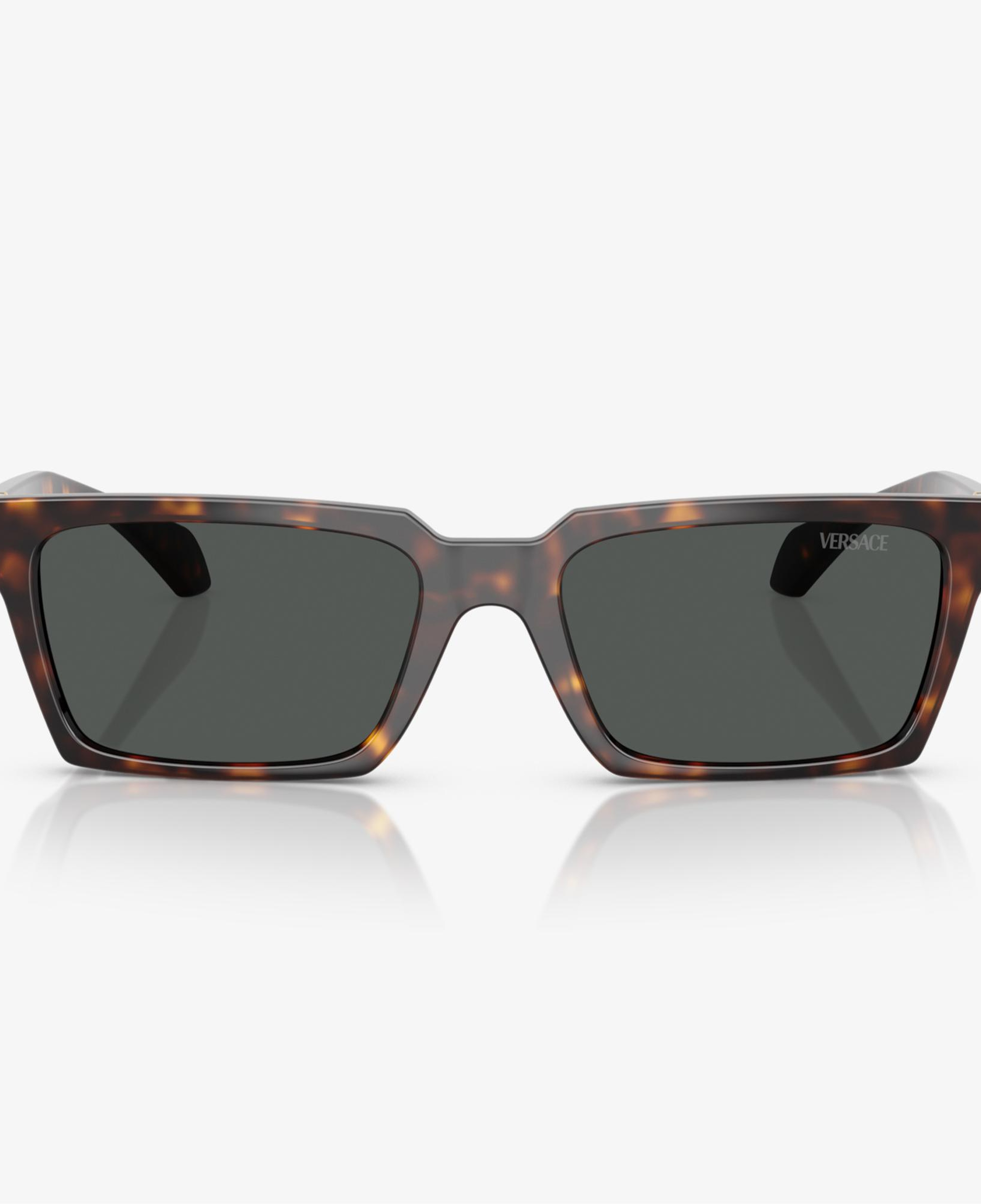 Versace VE4490U Erkek Kahverengi Güneş Gözlüğü