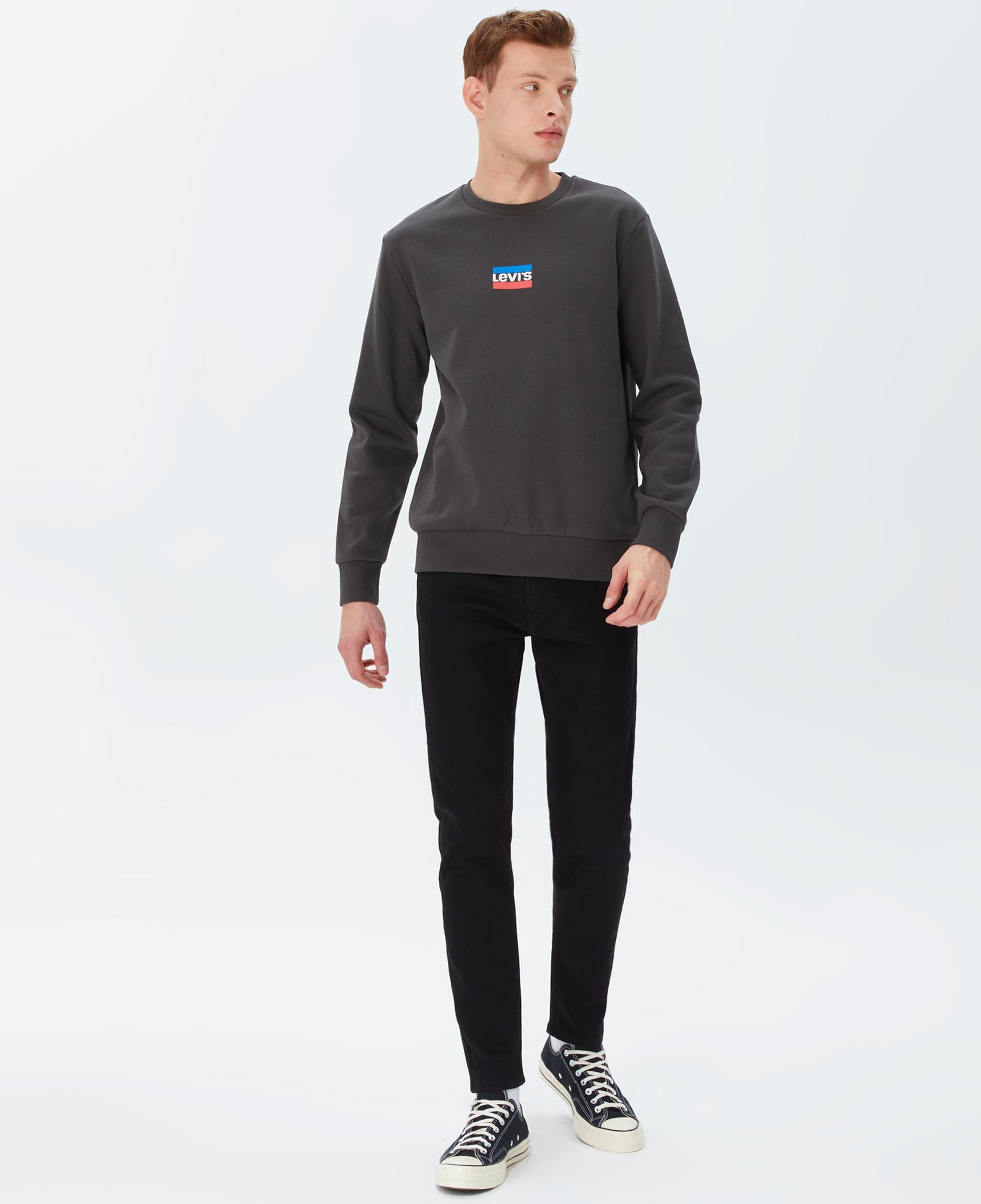 Levi's T2 Graphic Crew Pirate Erkek Füme Sweatshirt