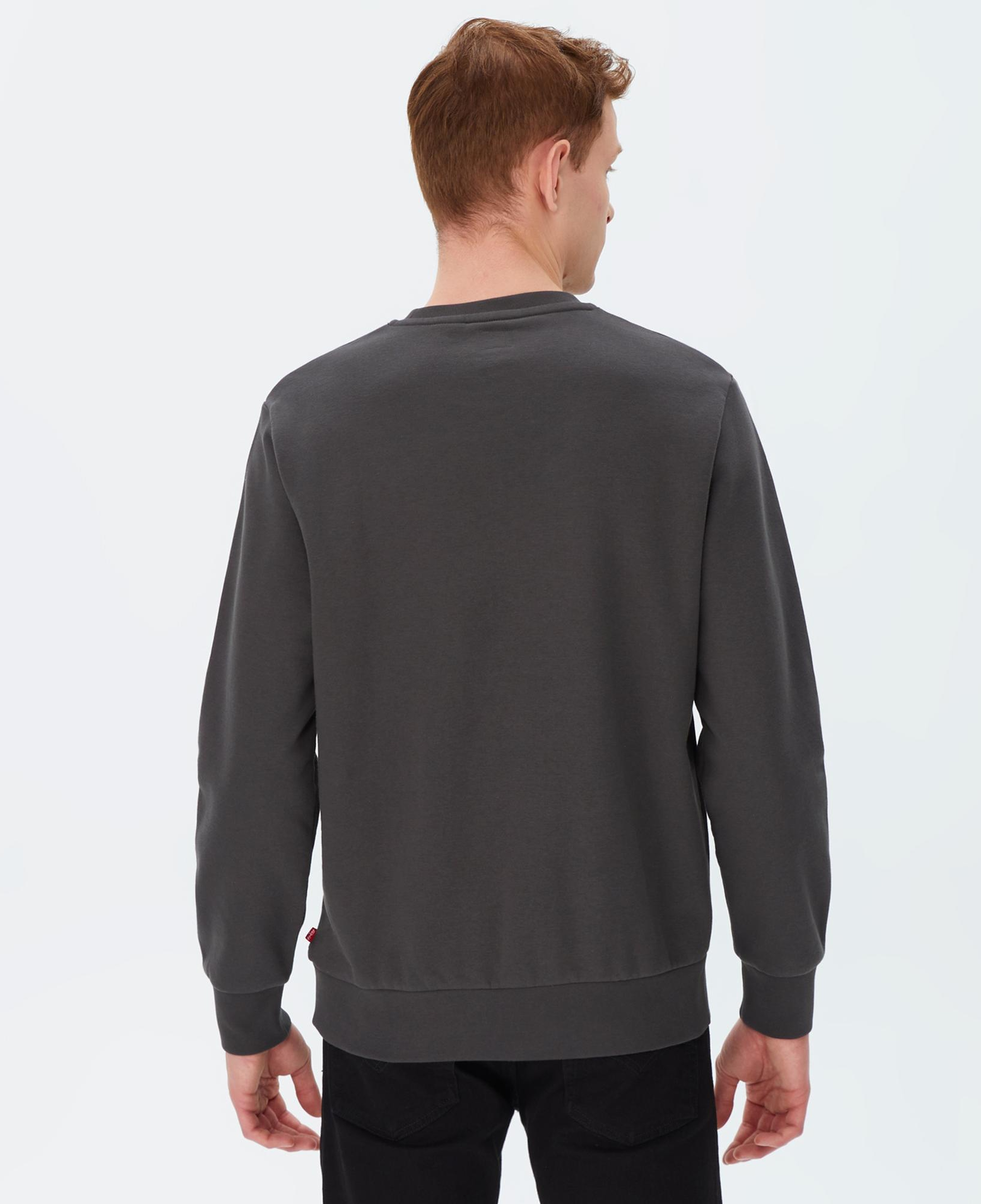 Levi's T2 Graphic Crew Pirate Erkek Füme Sweatshirt