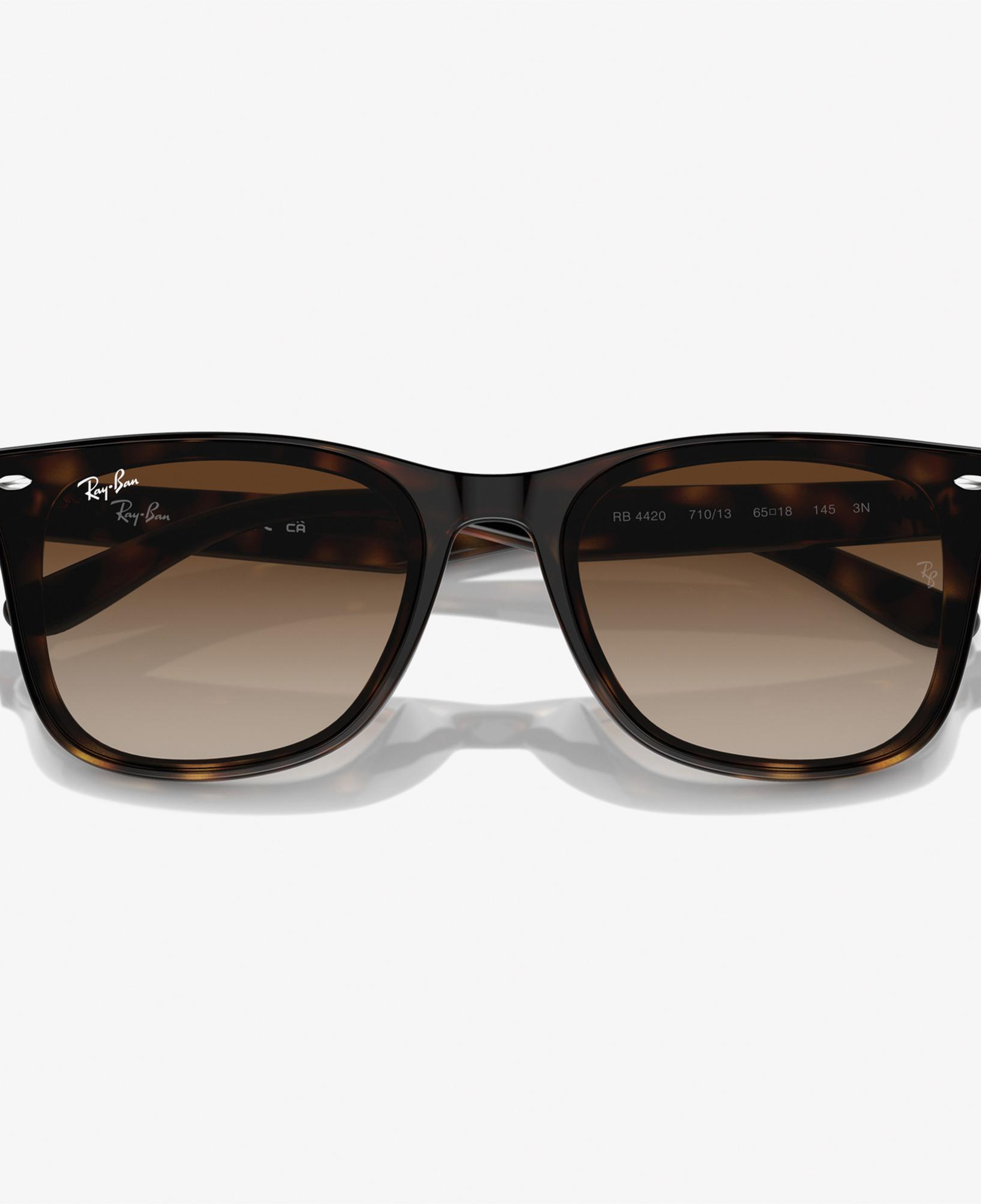 RAY-BAN 0RB4420 Injected Unisex Kahverengi Güneş Gözlüğü