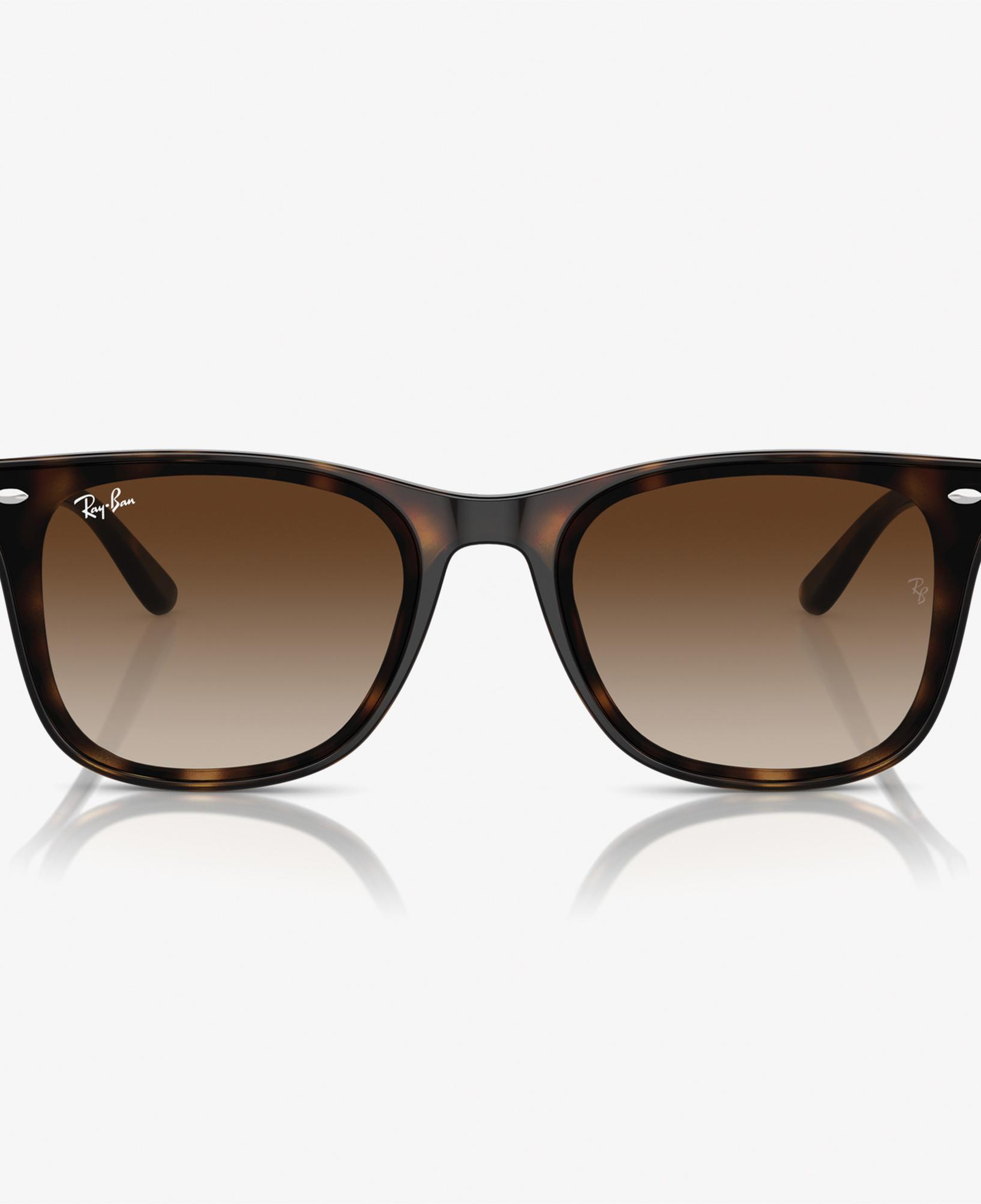 RAY-BAN 0RB4420 Injected Unisex Kahverengi Güneş Gözlüğü