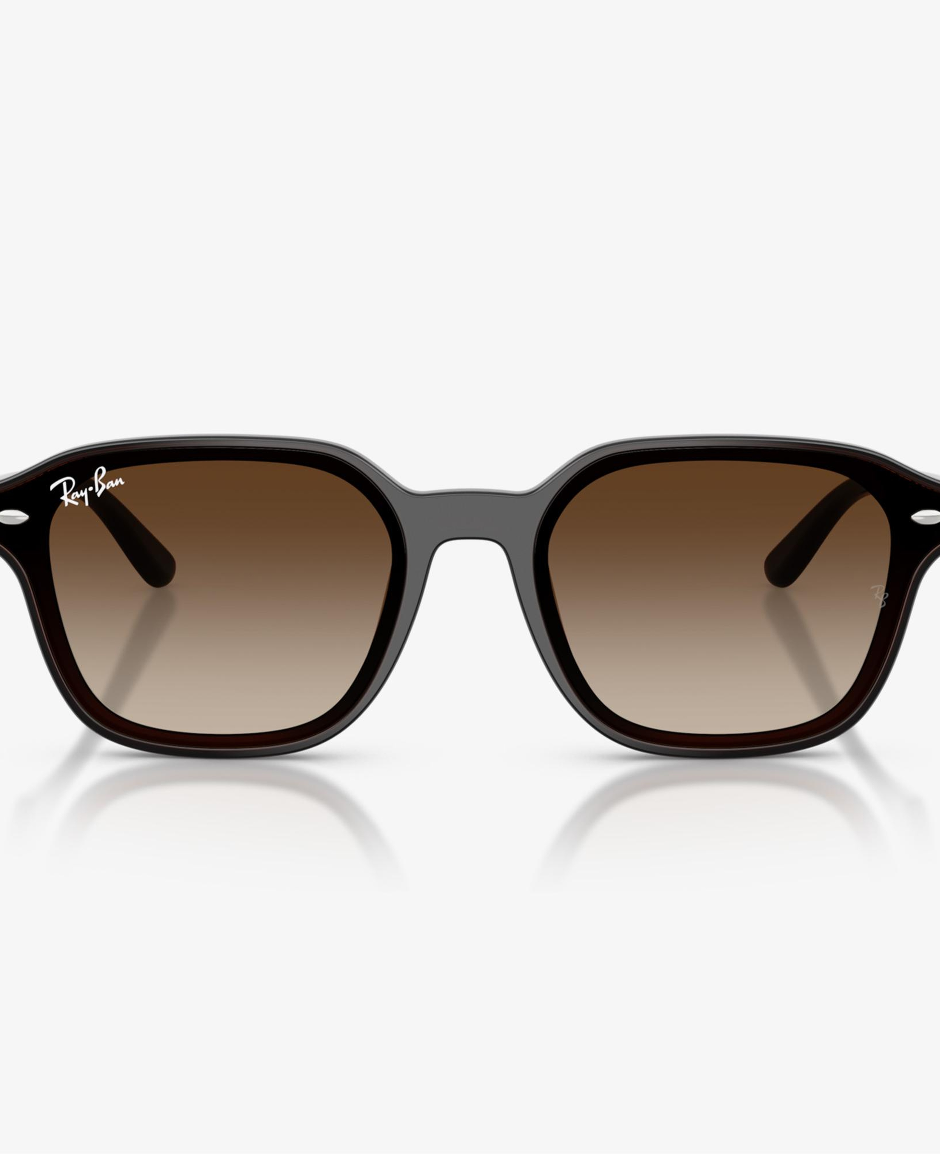 Ray-Ban RB4458D Unisex Kahverengi Güneş Gözlüğü