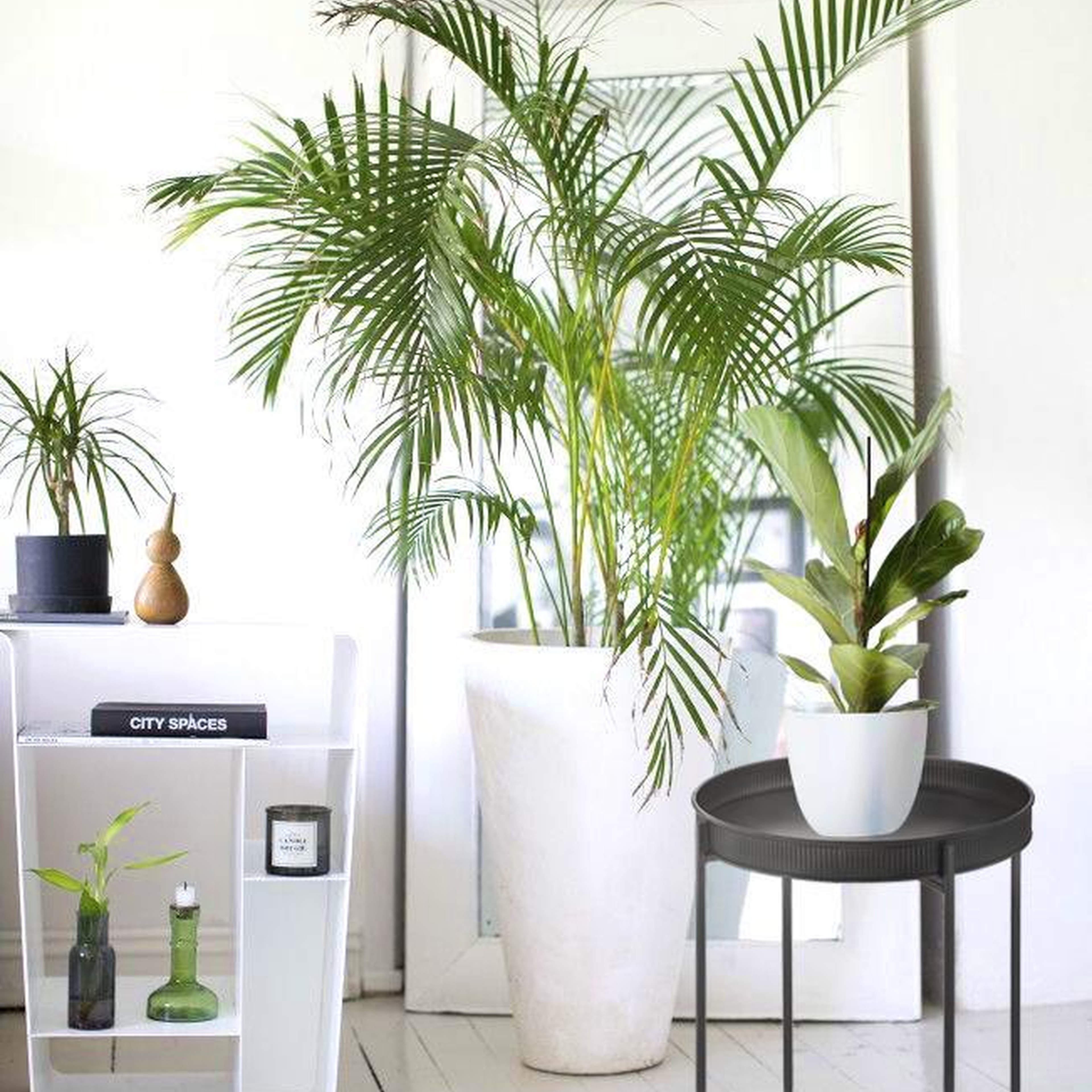 Siyah Yuvarlak Tepsi Sehpa