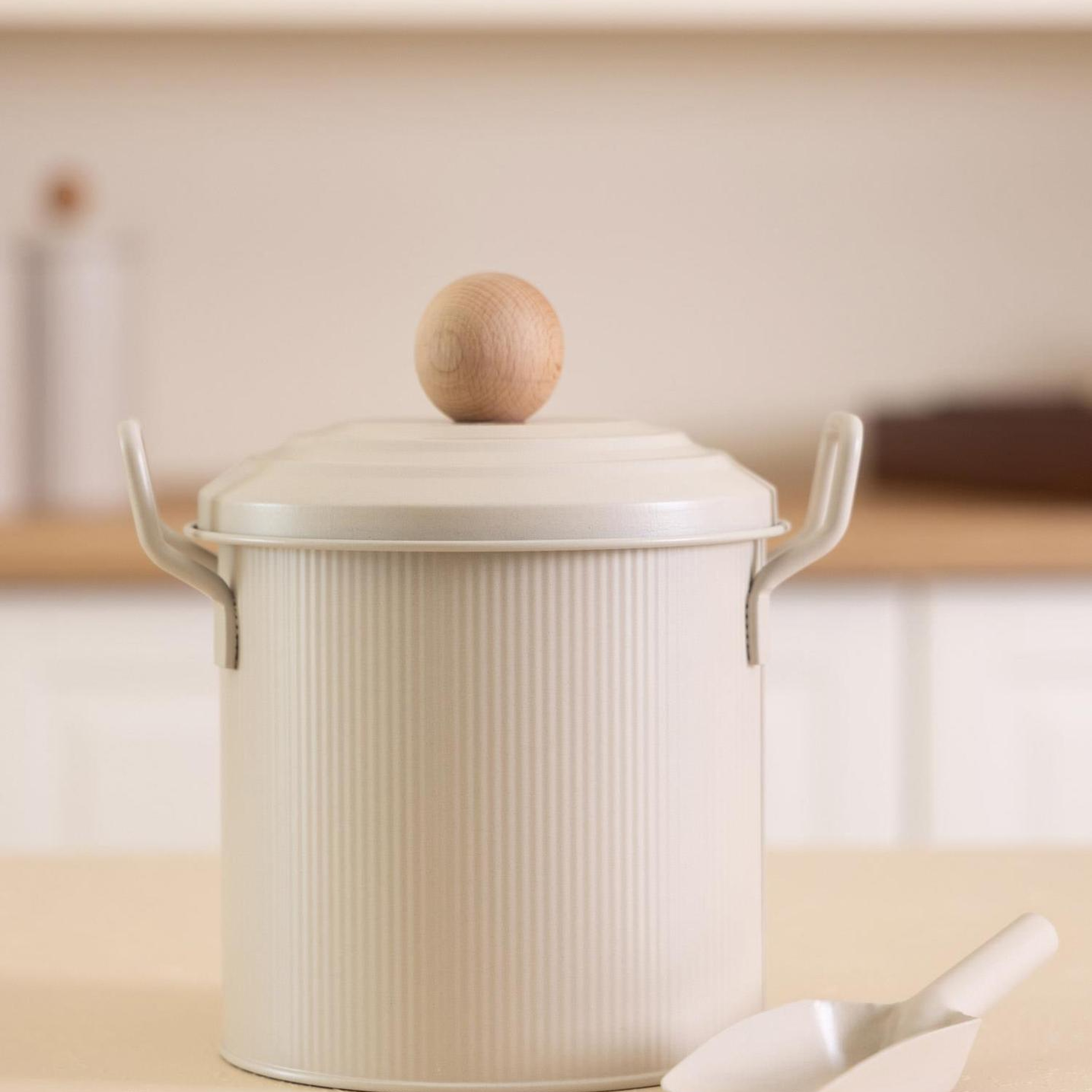 Stripe Bakliyat Ve Deterjan Saklama Kabı Bej