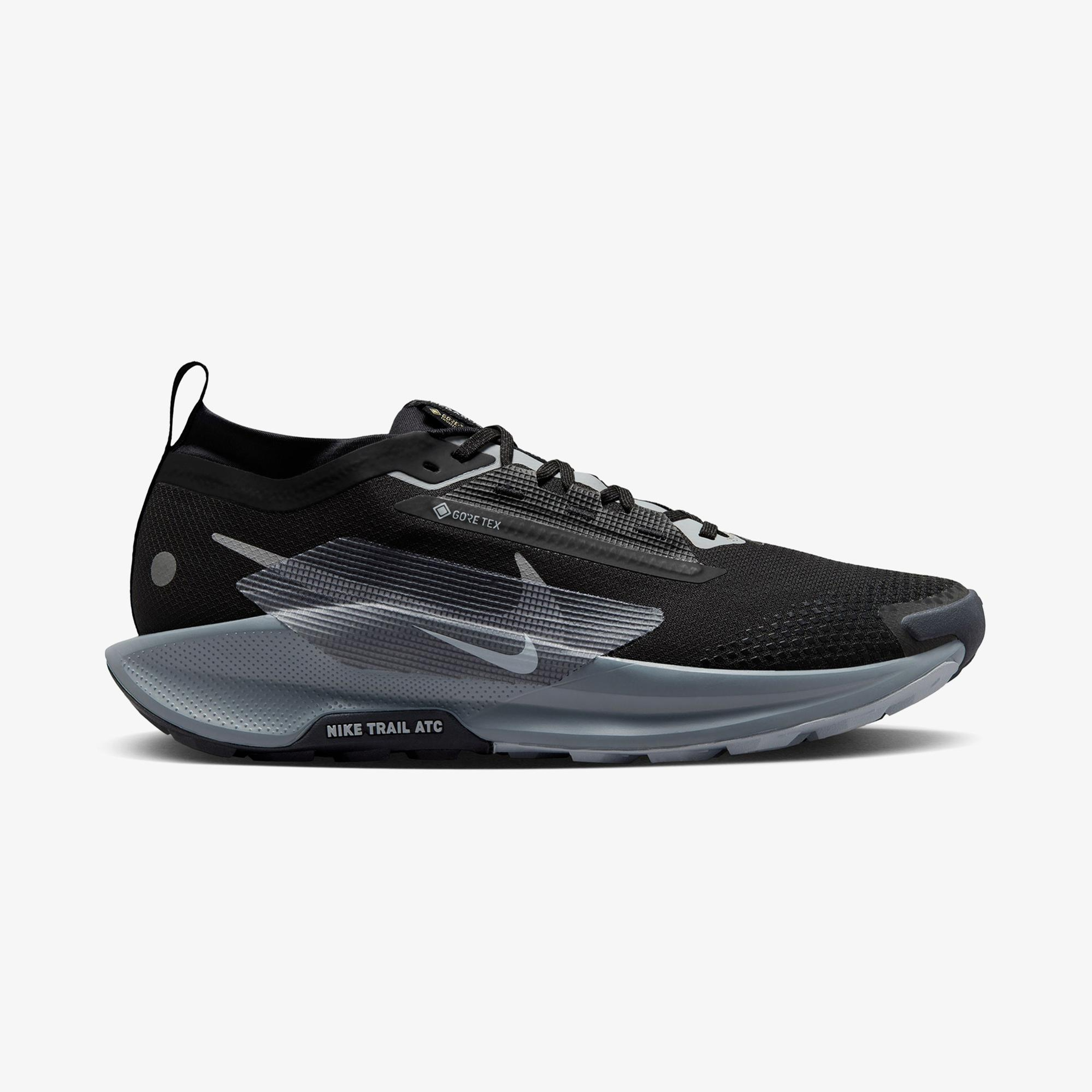 Nike Pegasus Trail 5 Gore-Tex Erkek Siyah Koşu Ayakkabısı